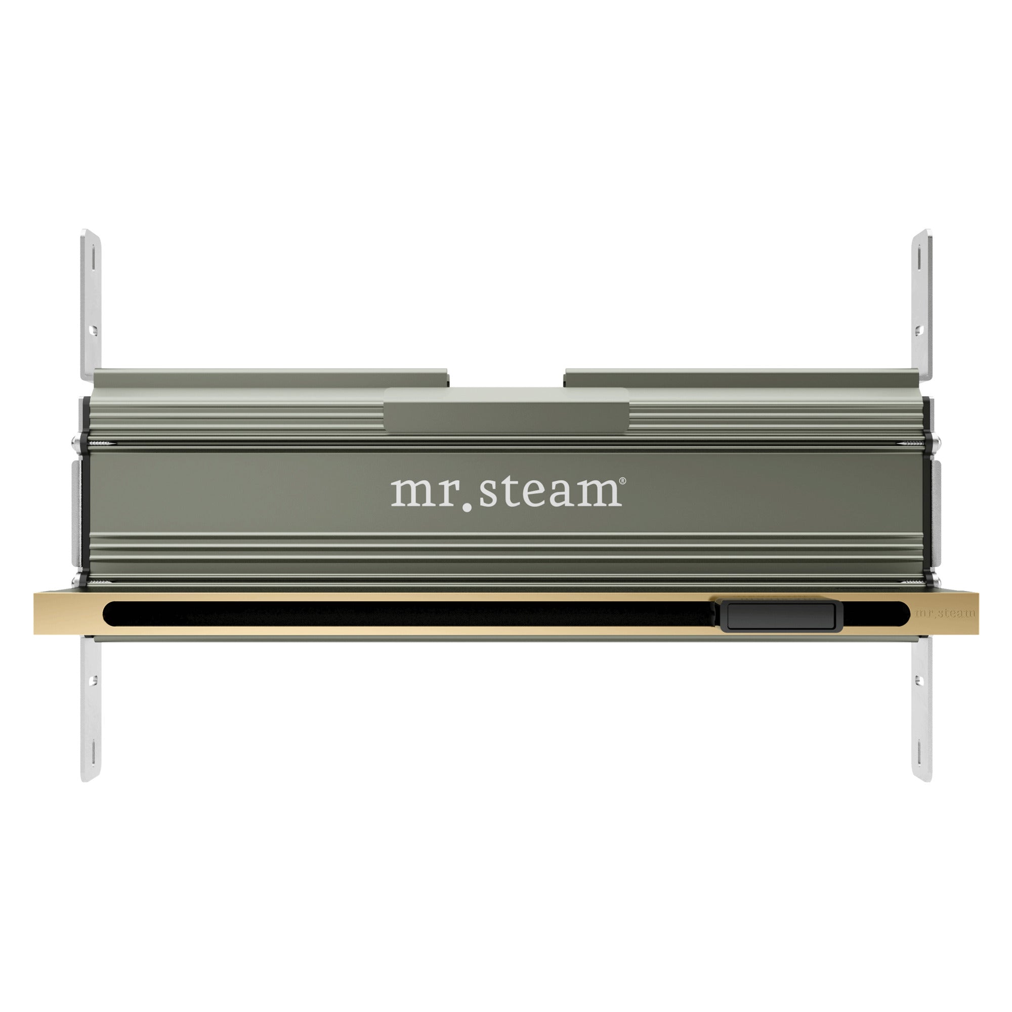 Mr. Steam 104480 Linear 16 in. Steam Head With AromaTray Mr. Steam