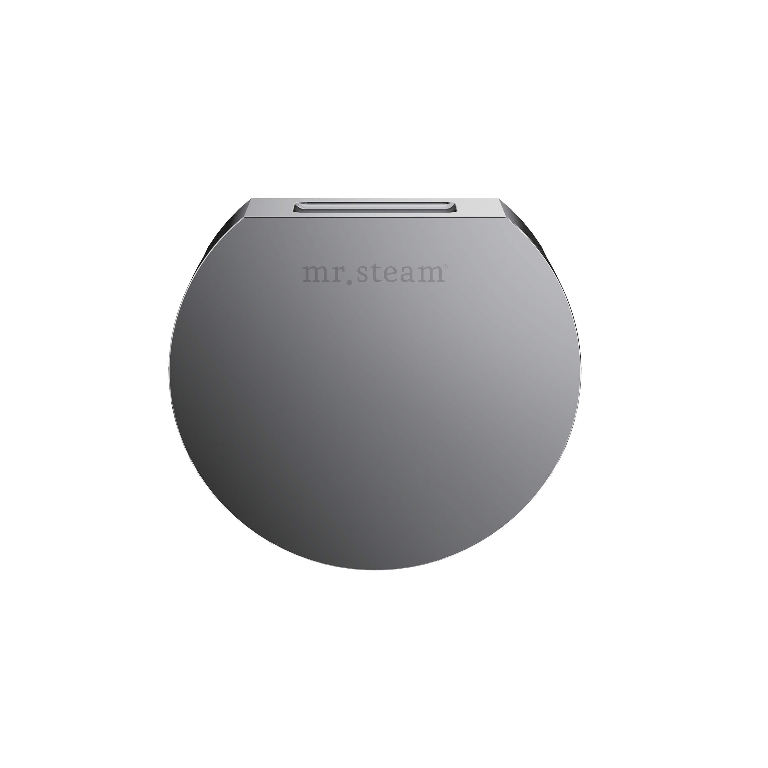 Mr. Steam Designer 3 in. Steamhead with AromaTherapy Reservoir Mr. Steam