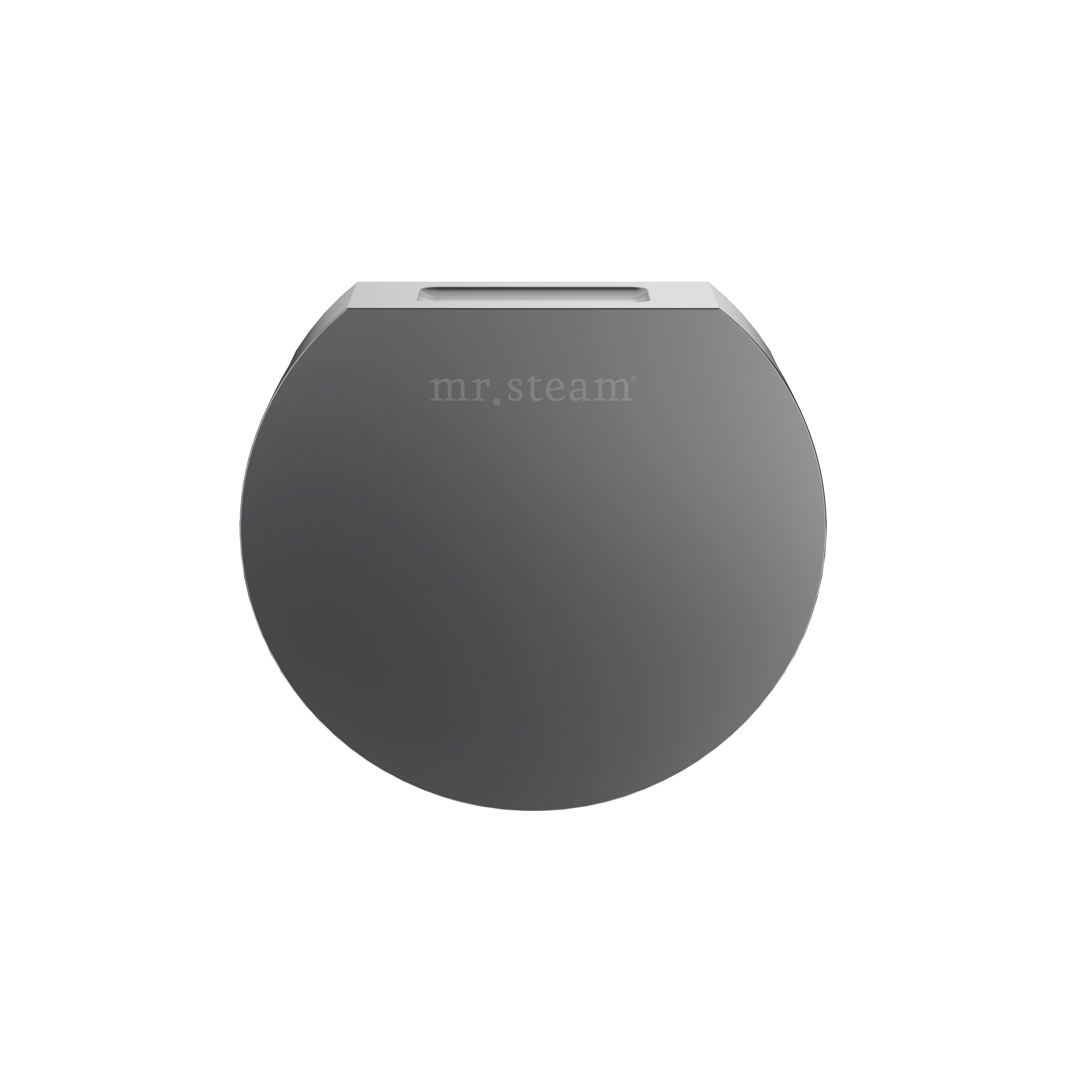 Mr. Steam Designer 3 in. Steamhead with AromaTherapy Reservoir Mr. Steam