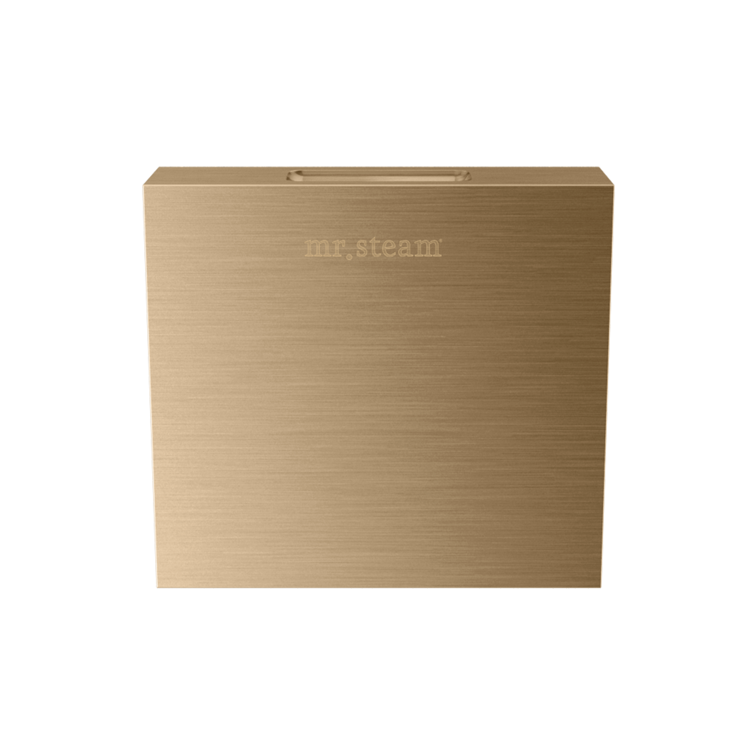 Mr. Steam Designer 3 in. Steamhead with AromaTherapy Reservoir Mr. Steam