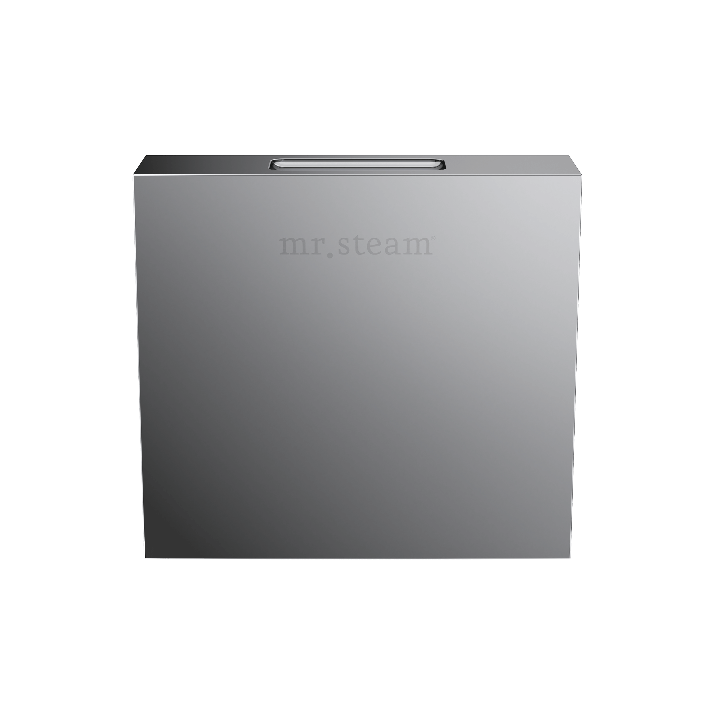 Mr. Steam Designer 3 in. Steamhead with AromaTherapy Reservoir Mr. Steam