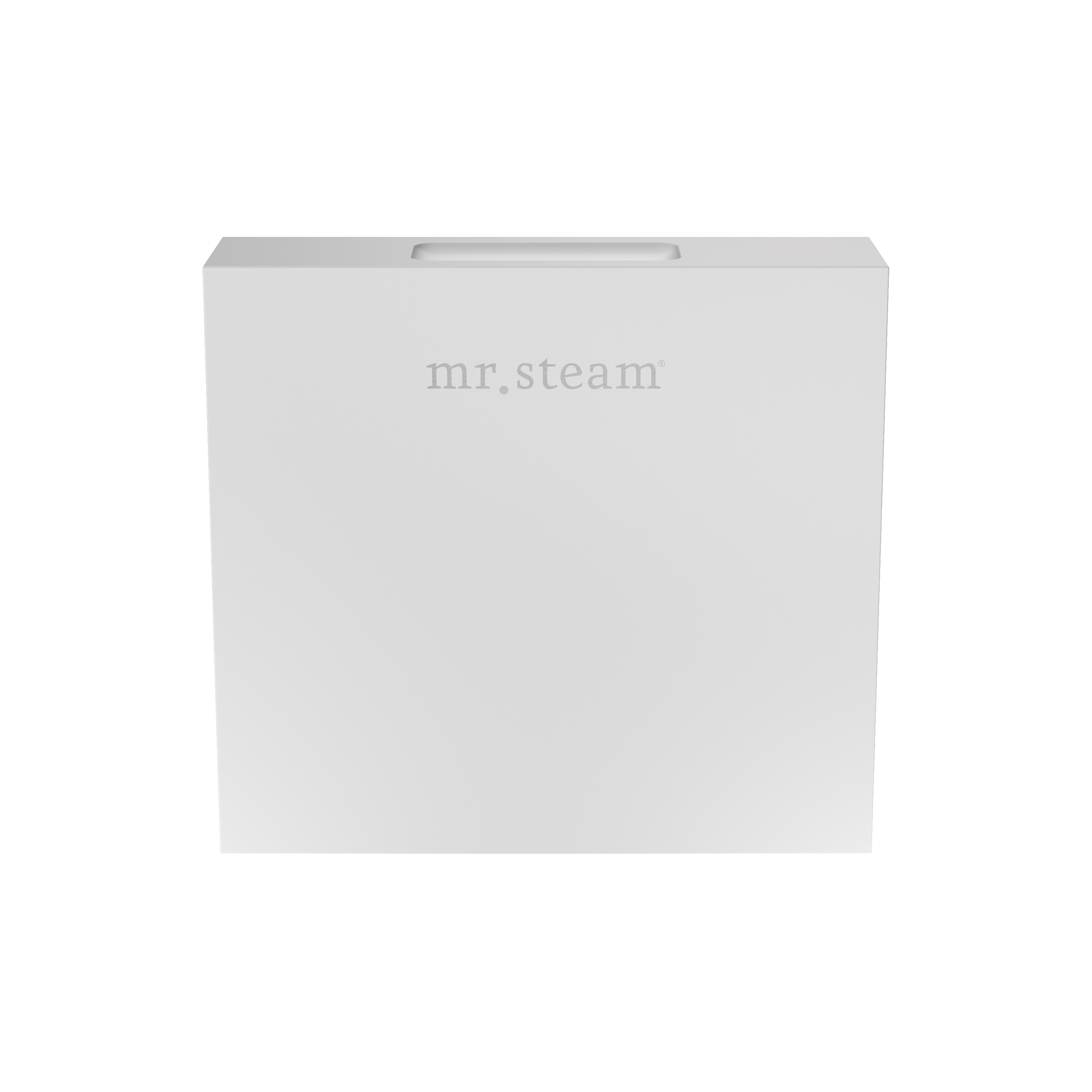 Mr. Steam Designer 3 in. Steamhead with AromaTherapy Reservoir Mr. Steam