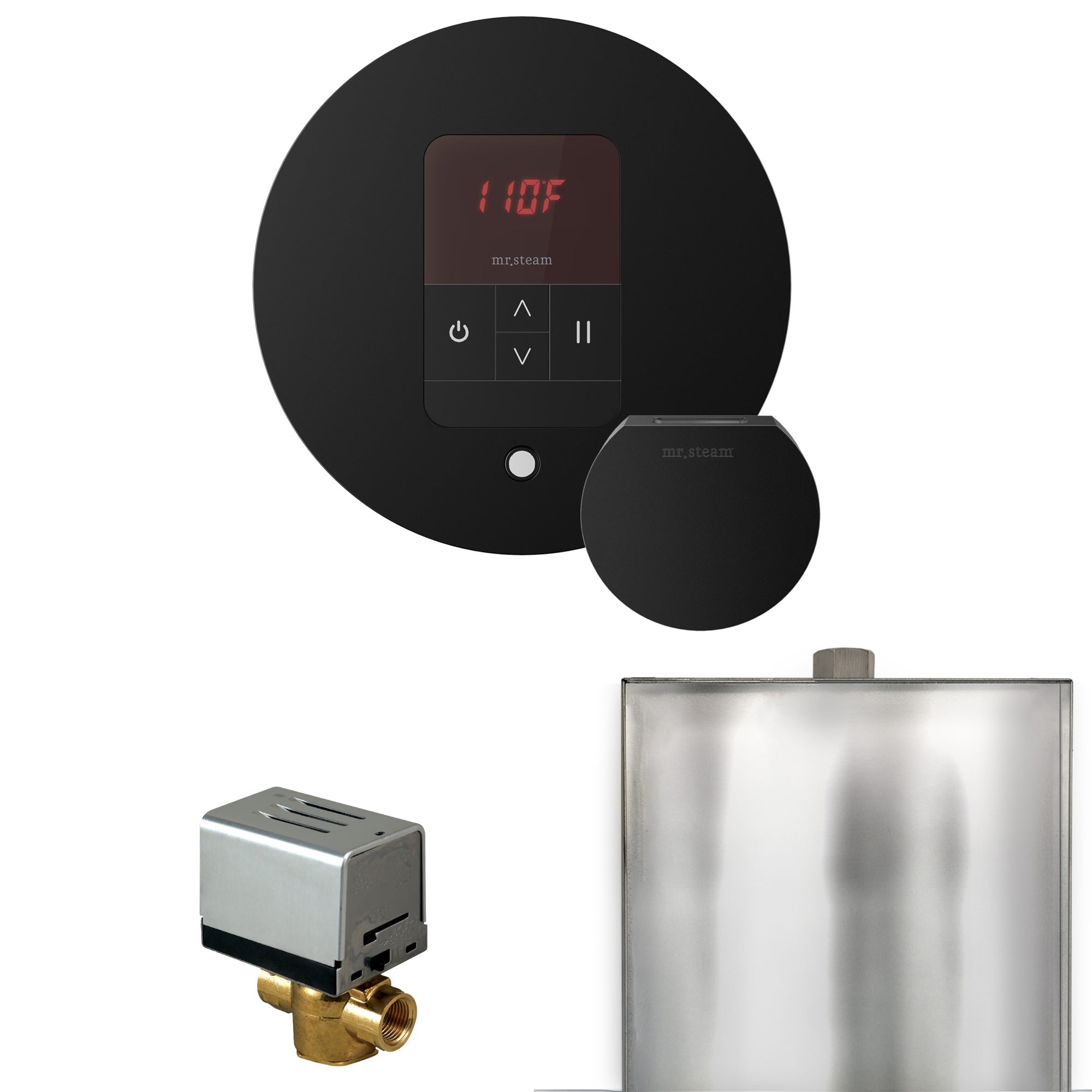 Mr. Steam Basic Butler Steam Shower Control Package with iTempo Control and Steamhead Mr. Steam