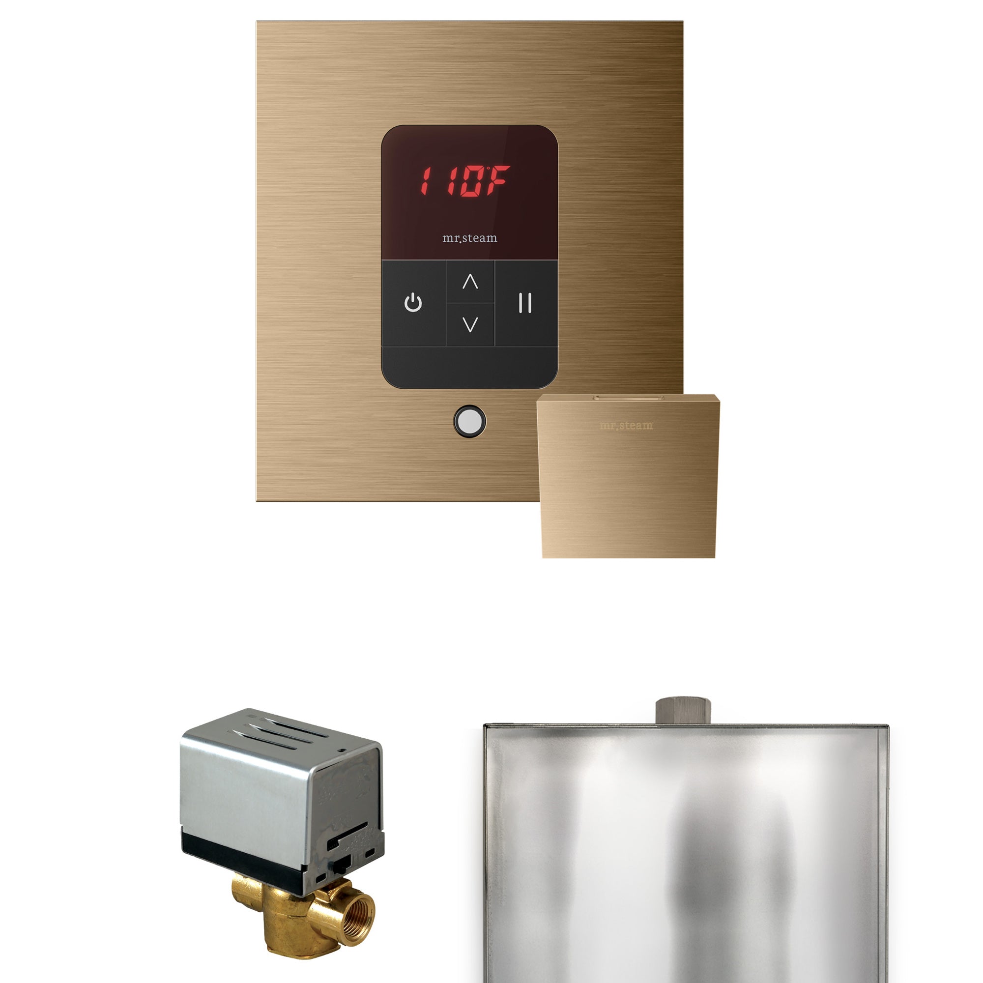 Mr. Steam Basic Butler Steam Shower Control Package with iTempo Control and Steamhead Mr. Steam