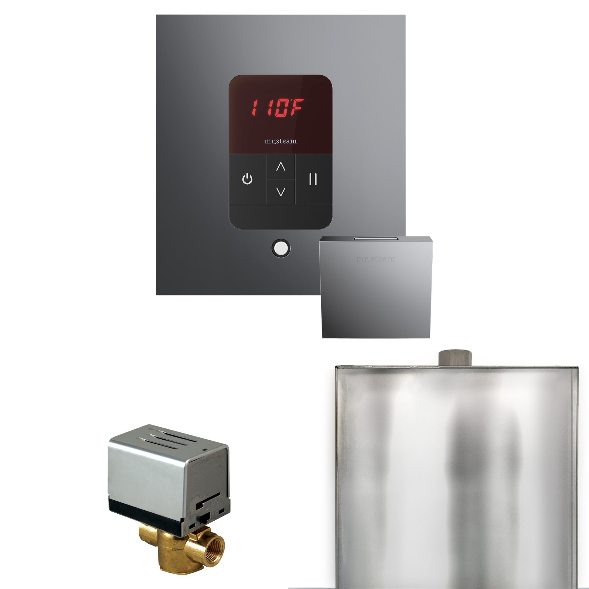 Mr. Steam Basic Butler Steam Shower Control Package with iTempo Control and Steamhead Mr. Steam