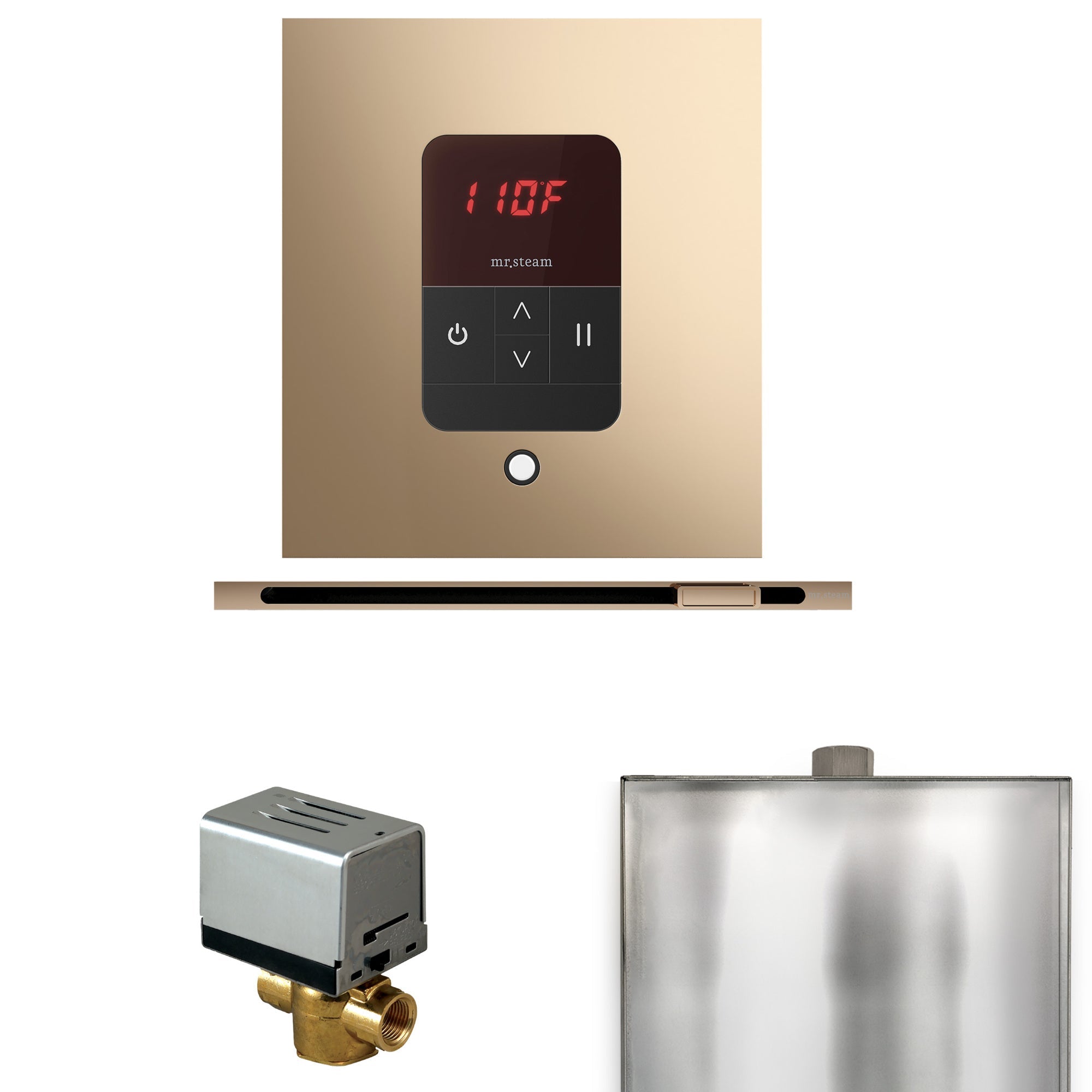 Mr. Steam Basic Butler Steam Shower Control Package with iTempo Control and Linear Steamhead Mr. Steam