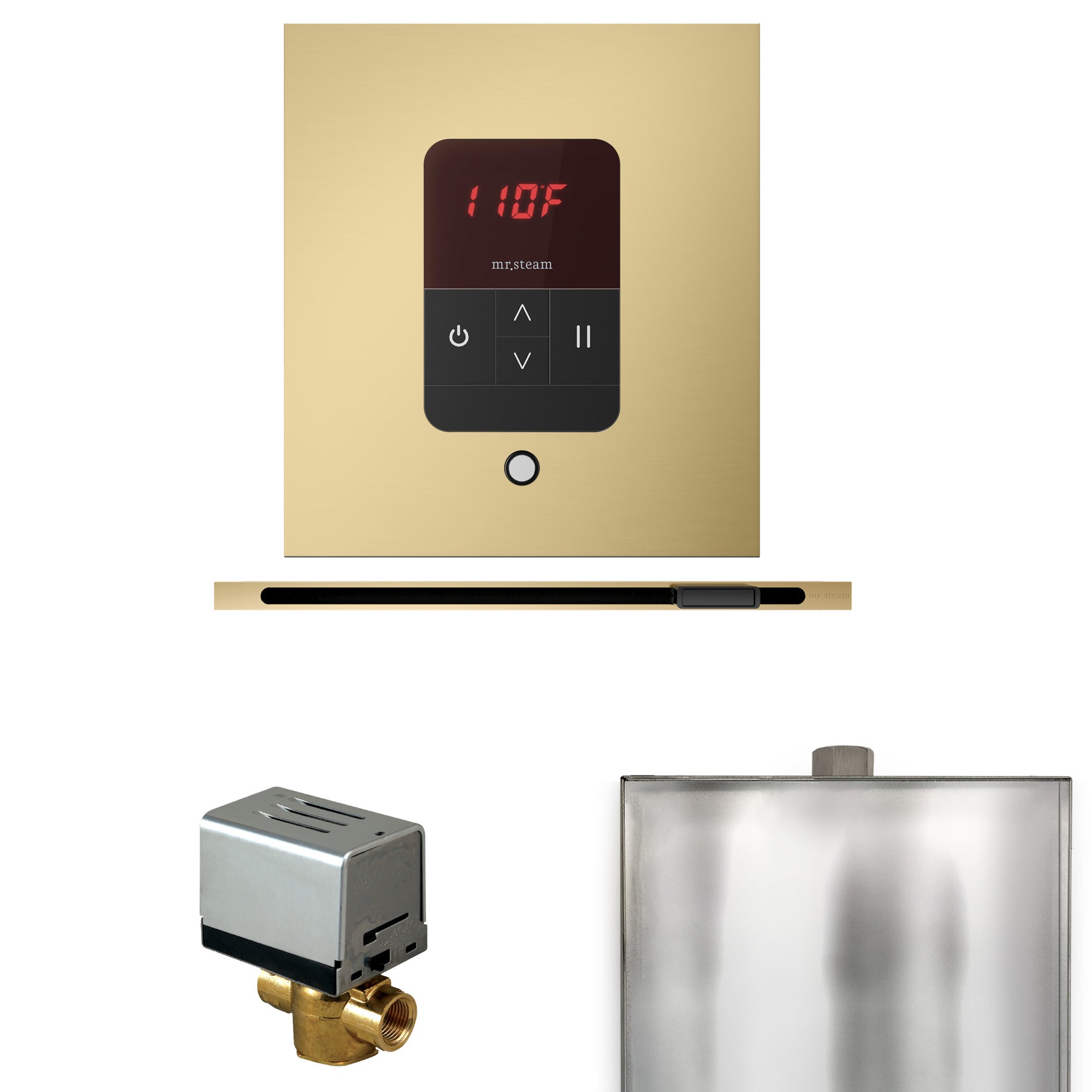 Mr. Steam Basic Butler Steam Shower Control Package with iTempo Control and Linear Steamhead Mr. Steam