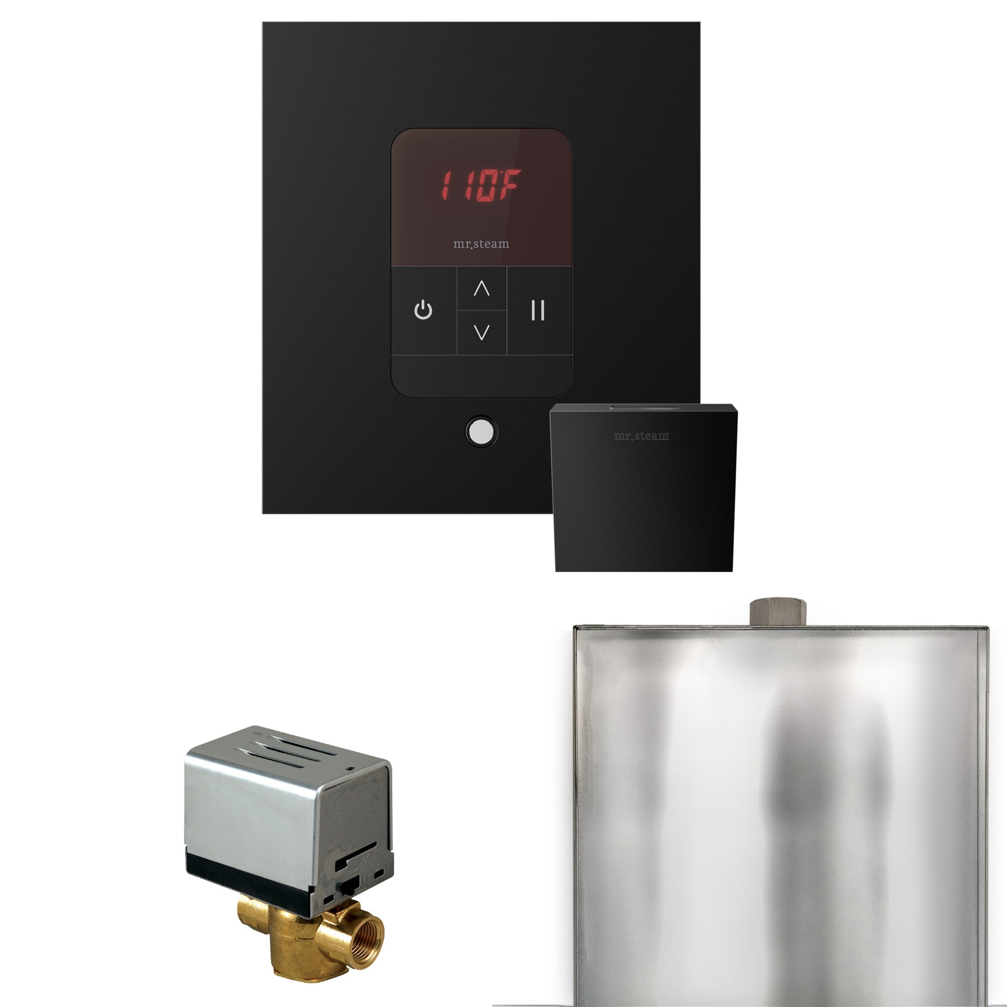 Mr. Steam Basic Butler Steam Shower Control Package with iTempo Control and Steamhead Mr. Steam