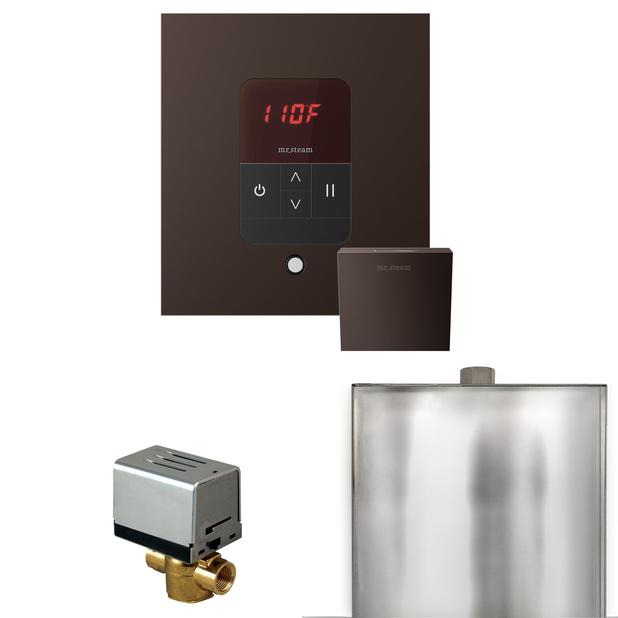 Mr. Steam Basic Butler Steam Shower Control Package with iTempo Control and Steamhead Mr. Steam