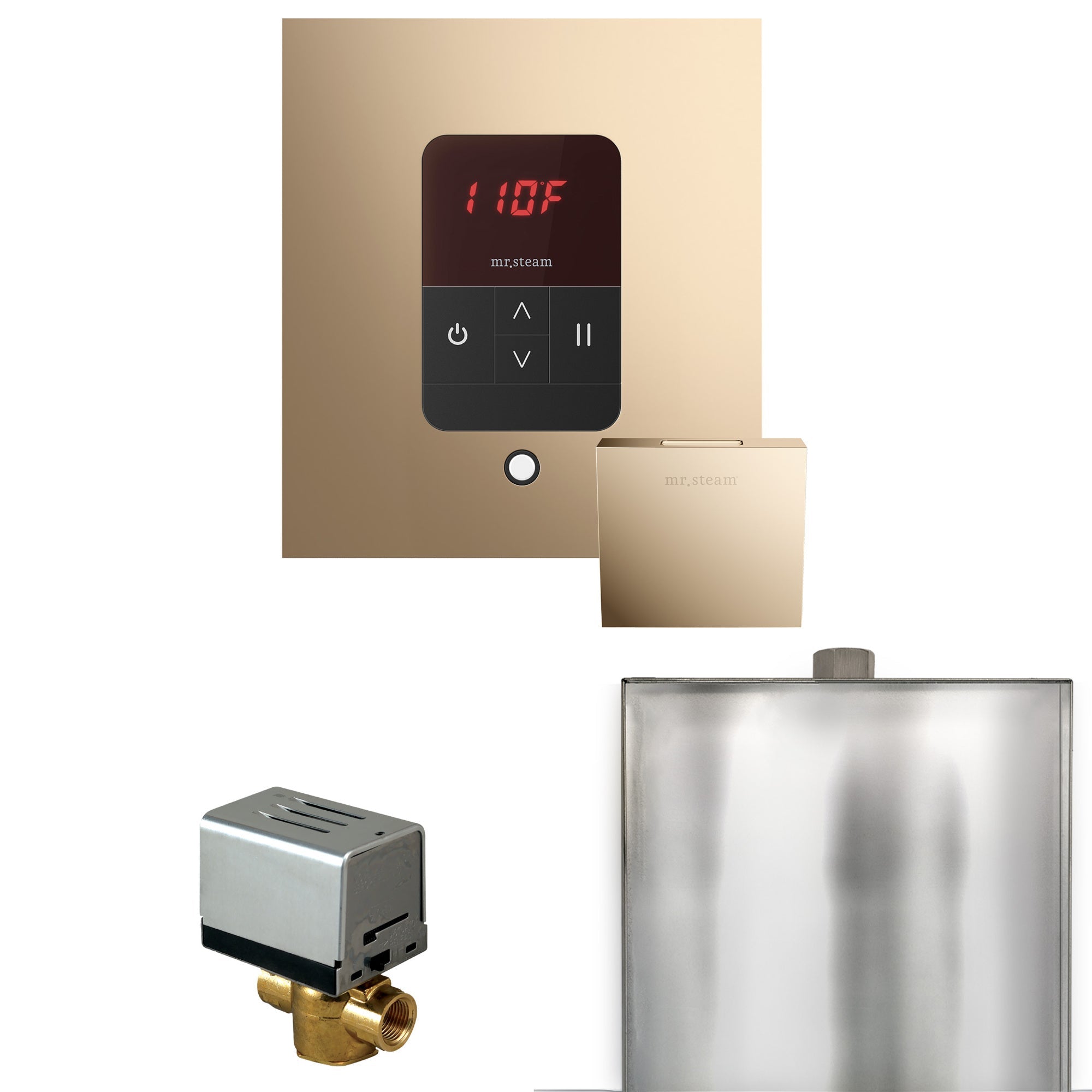 Mr. Steam Basic Butler Steam Shower Control Package with iTempo Control and Steamhead Mr. Steam