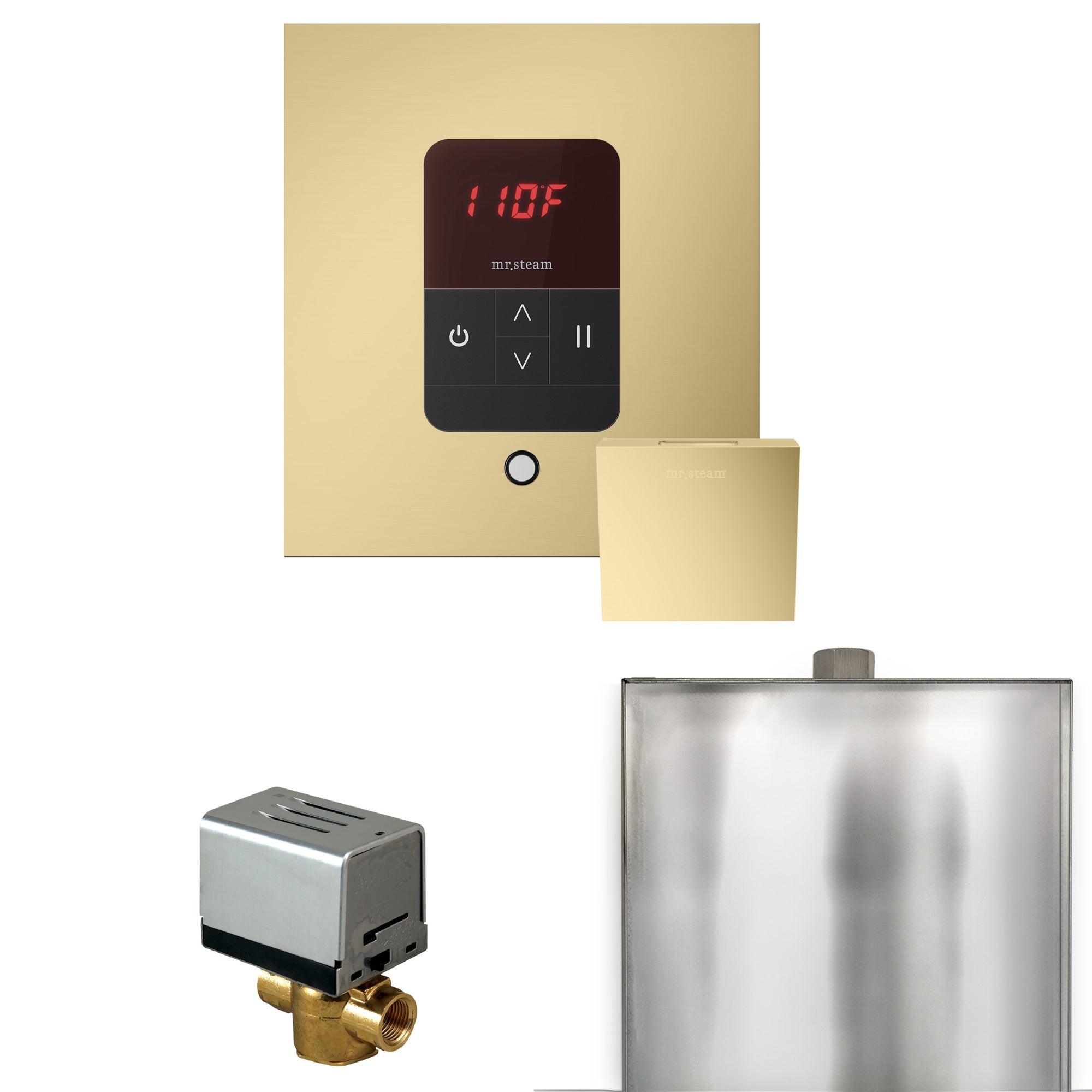 Mr. Steam Basic Butler Steam Shower Control Package with iTempo Control and Steamhead Mr. Steam