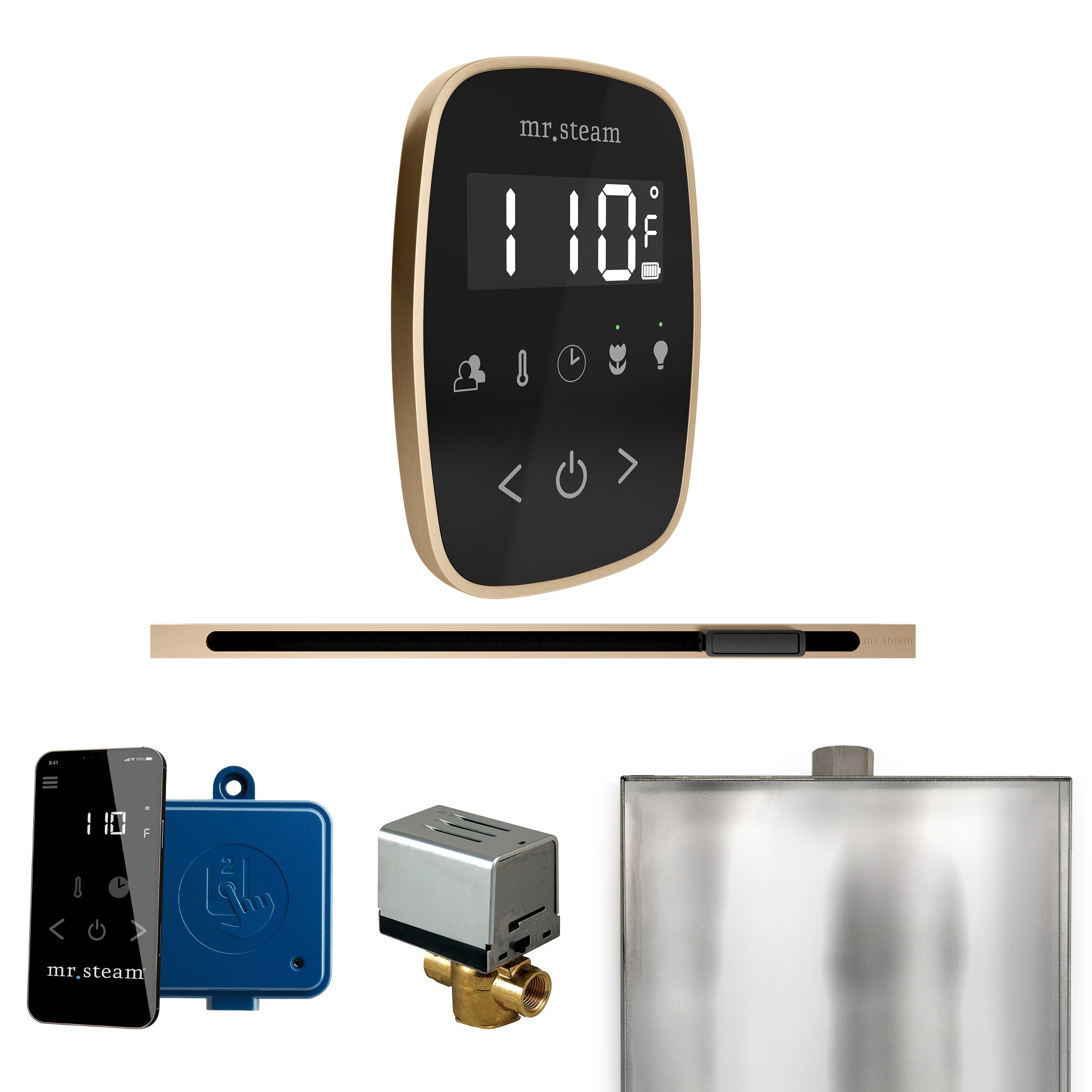 Mr. Steam ButlerFlex Steam Shower Control Package with TempoFlex Control and Linear Steamhead Mr. Steam