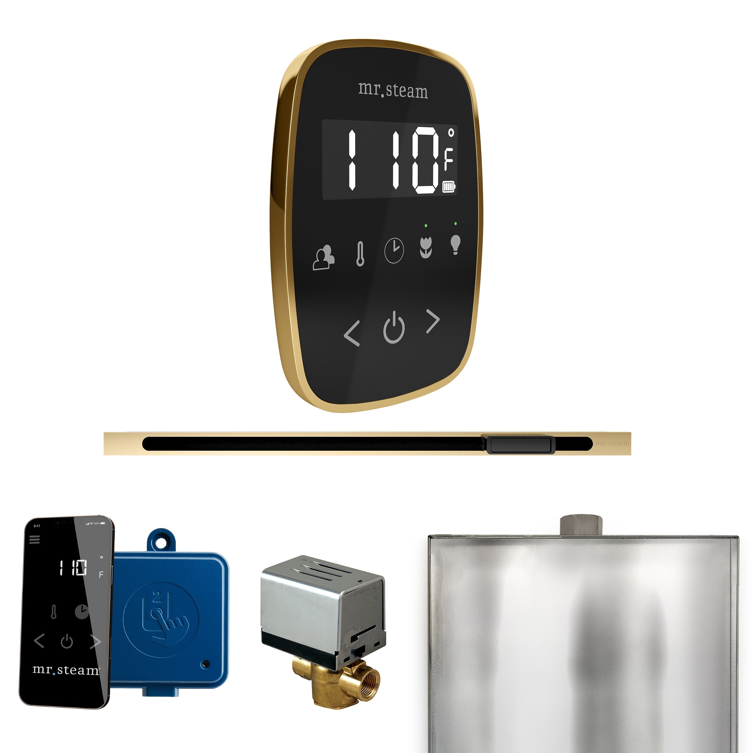 Mr. Steam ButlerFlex Steam Shower Control Package with TempoFlex Control and Linear Steamhead Mr. Steam