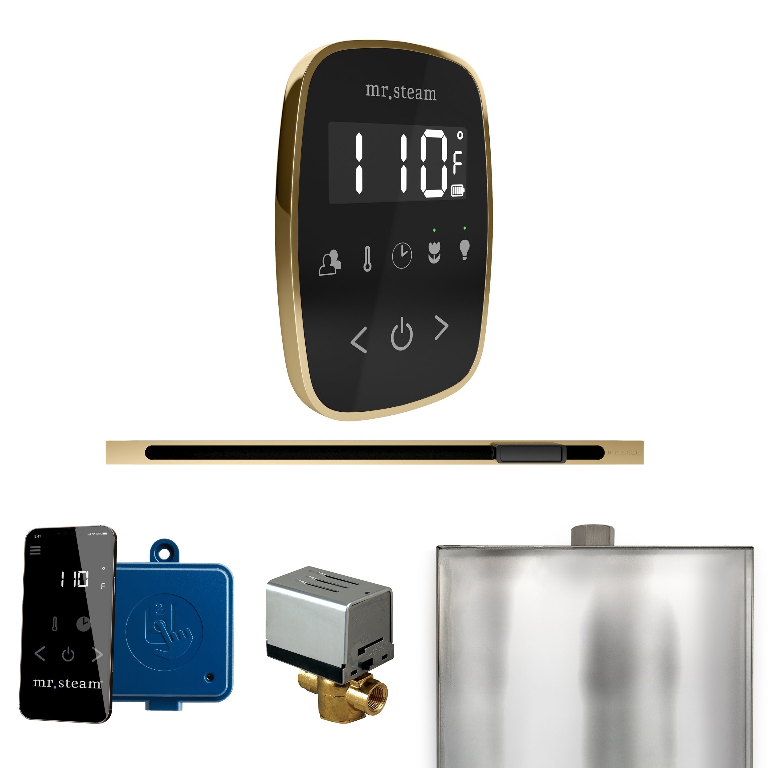 Mr. Steam ButlerFlex Steam Shower Control Package with TempoFlex Control and Linear Steamhead Mr. Steam