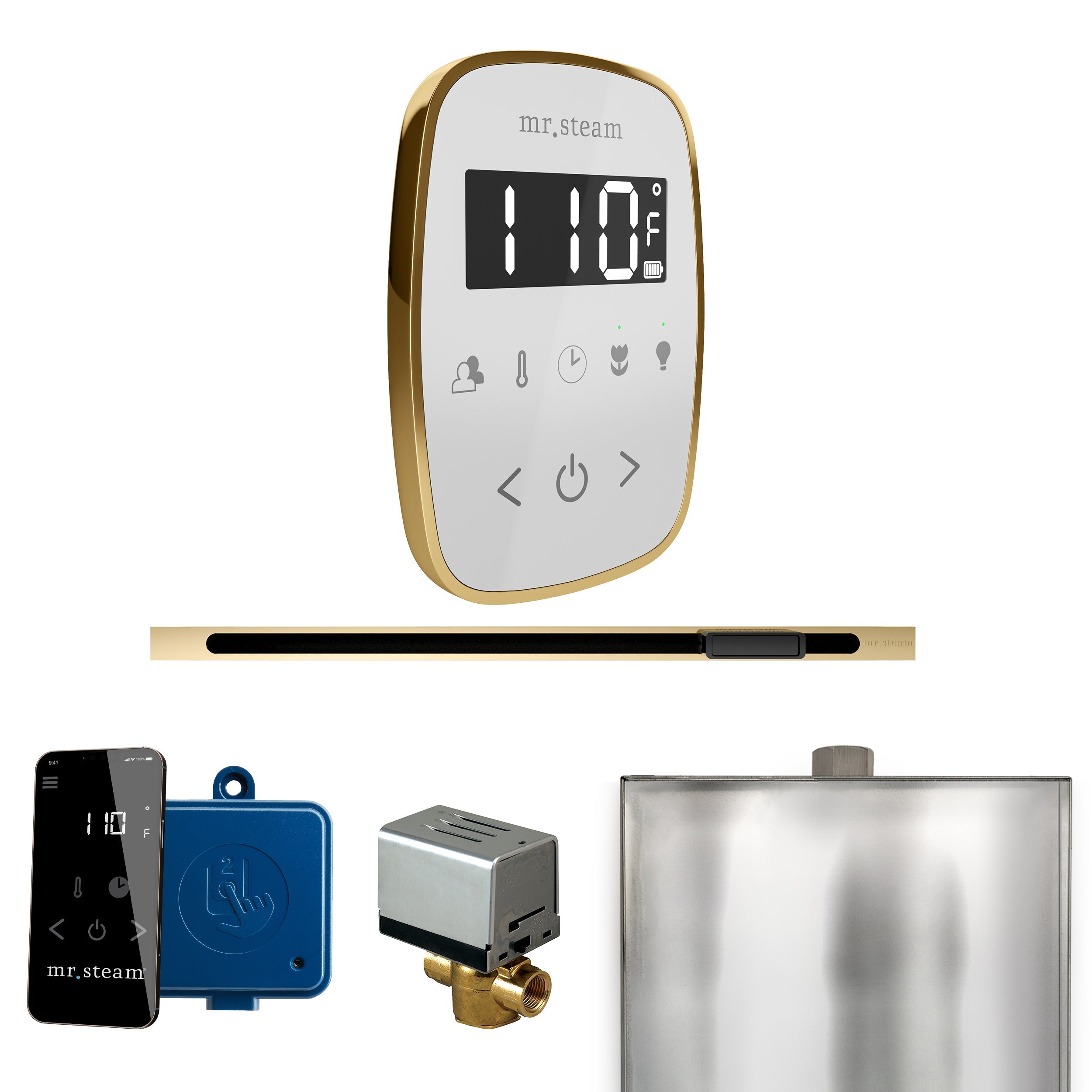 Mr. Steam ButlerFlex Steam Shower Control Package with TempoFlex Control and Linear Steamhead Mr. Steam