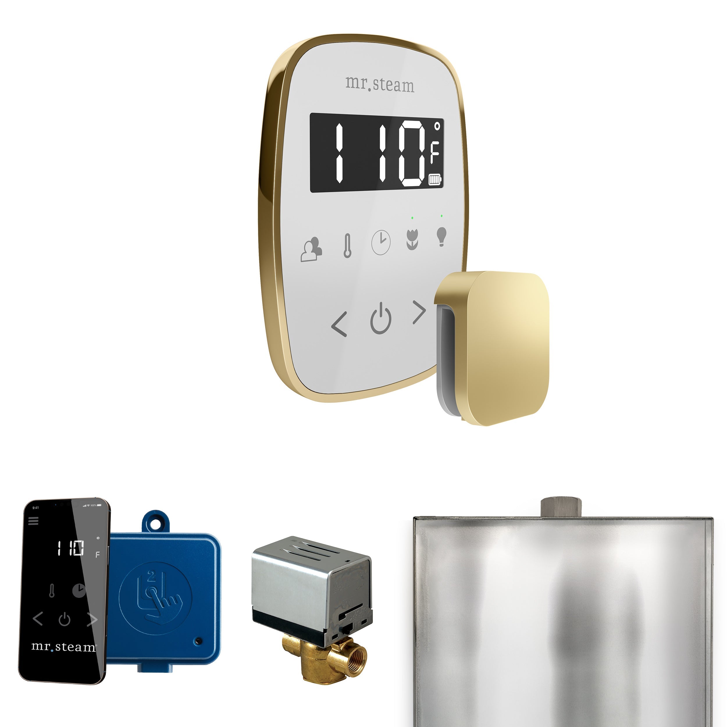 Mr. Steam ButlerFlex Steam Shower Control Package with TempoFlex Control and Steamhead Mr. Steam