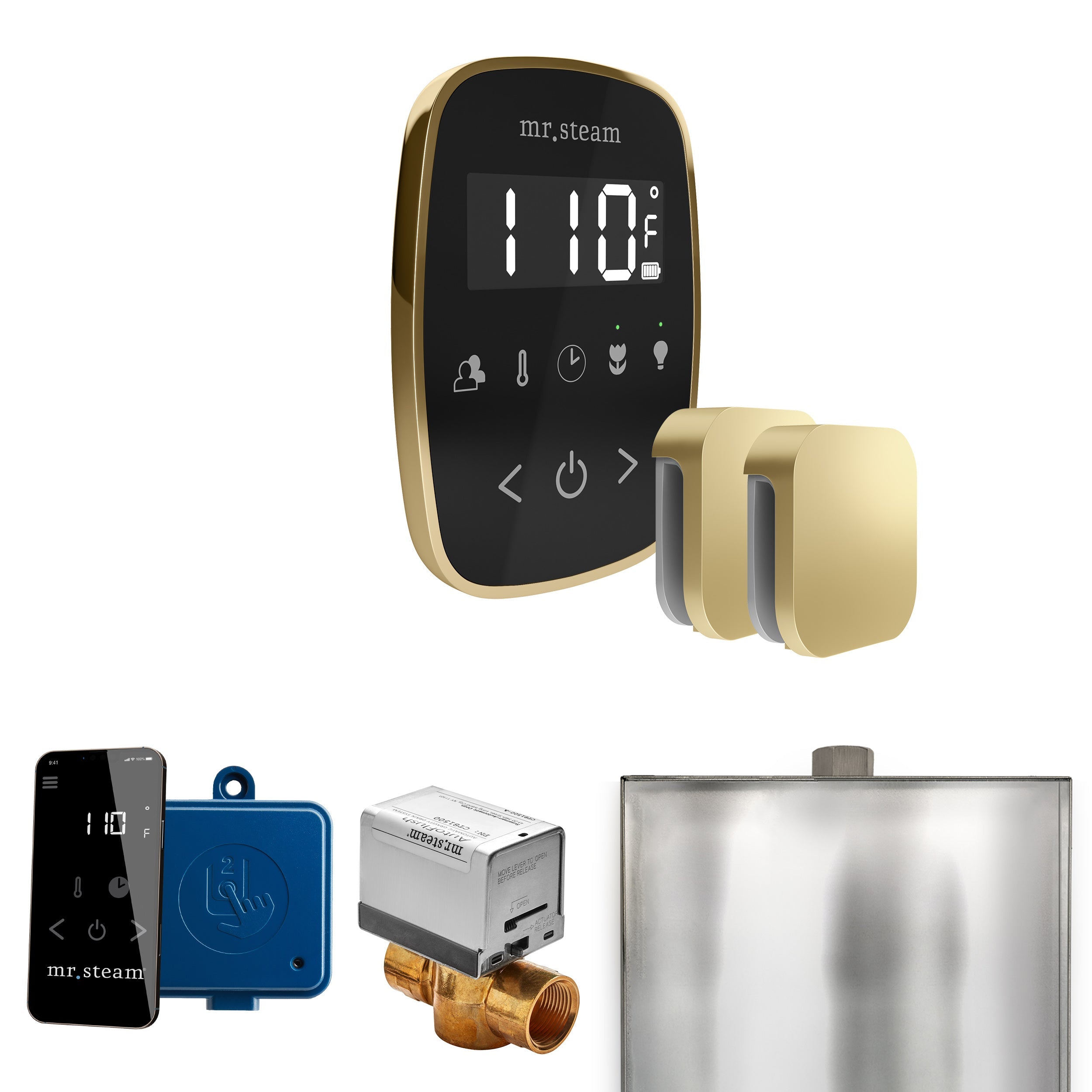 Mr. Steam ButlerFlex Max Steam Shower Control Package with TempoFlex Control and Steamhead Mr. Steam