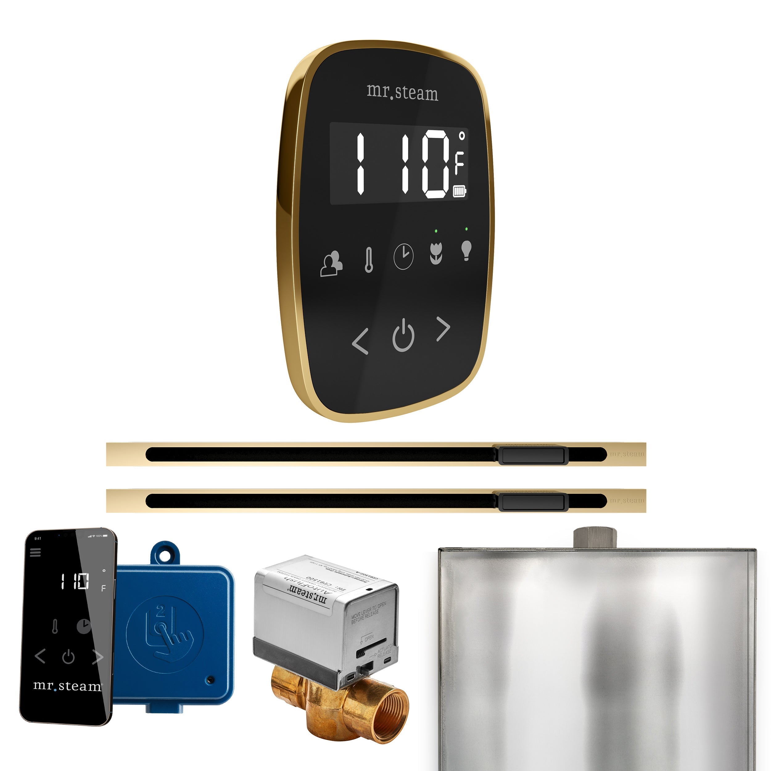 Mr. Steam ButlerFlex Max Steam Shower Control Package with TempoFlex Control and Linear Steamhead Mr. Steam