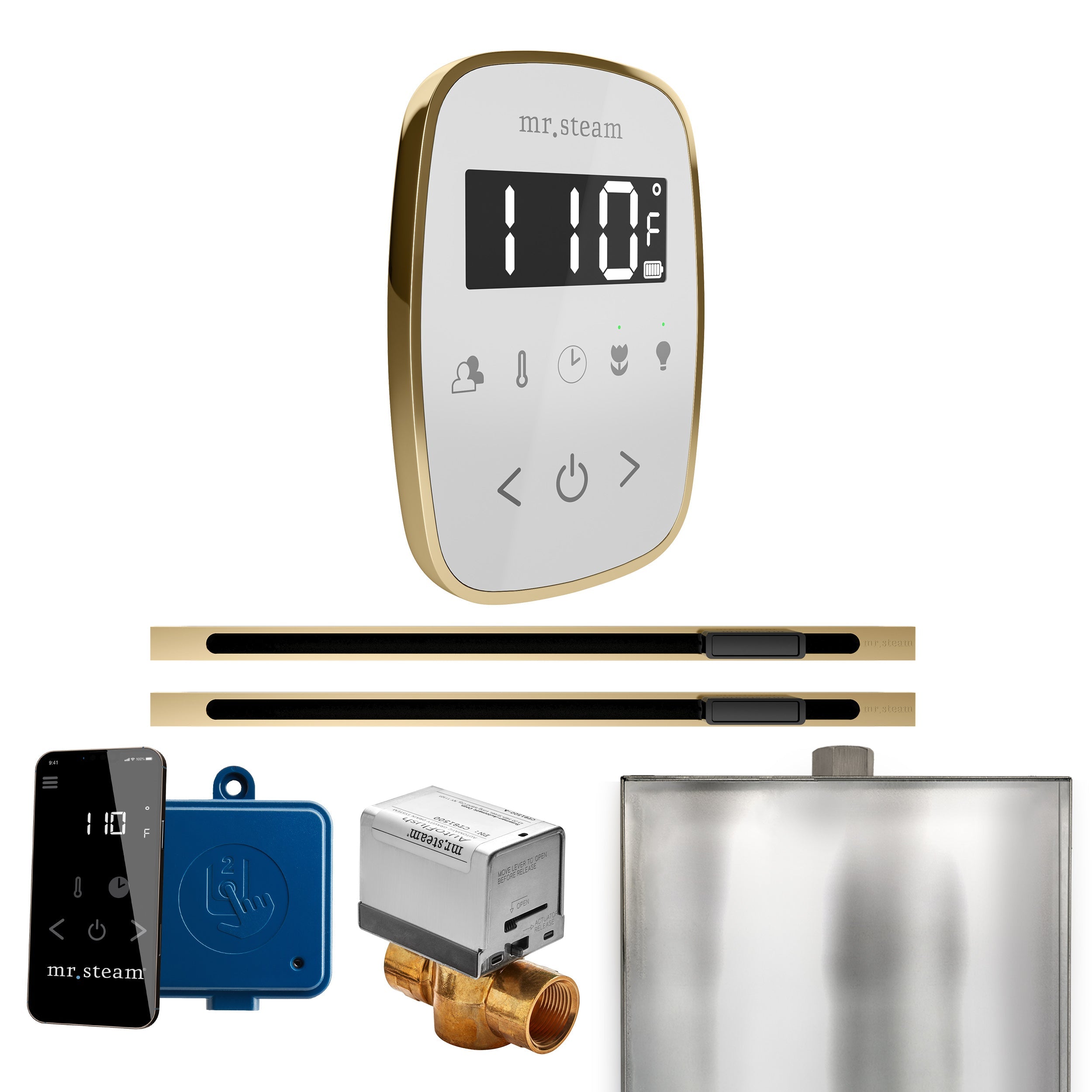 Mr. Steam ButlerFlex Max Steam Shower Control Package with TempoFlex Control and Linear Steamhead Mr. Steam