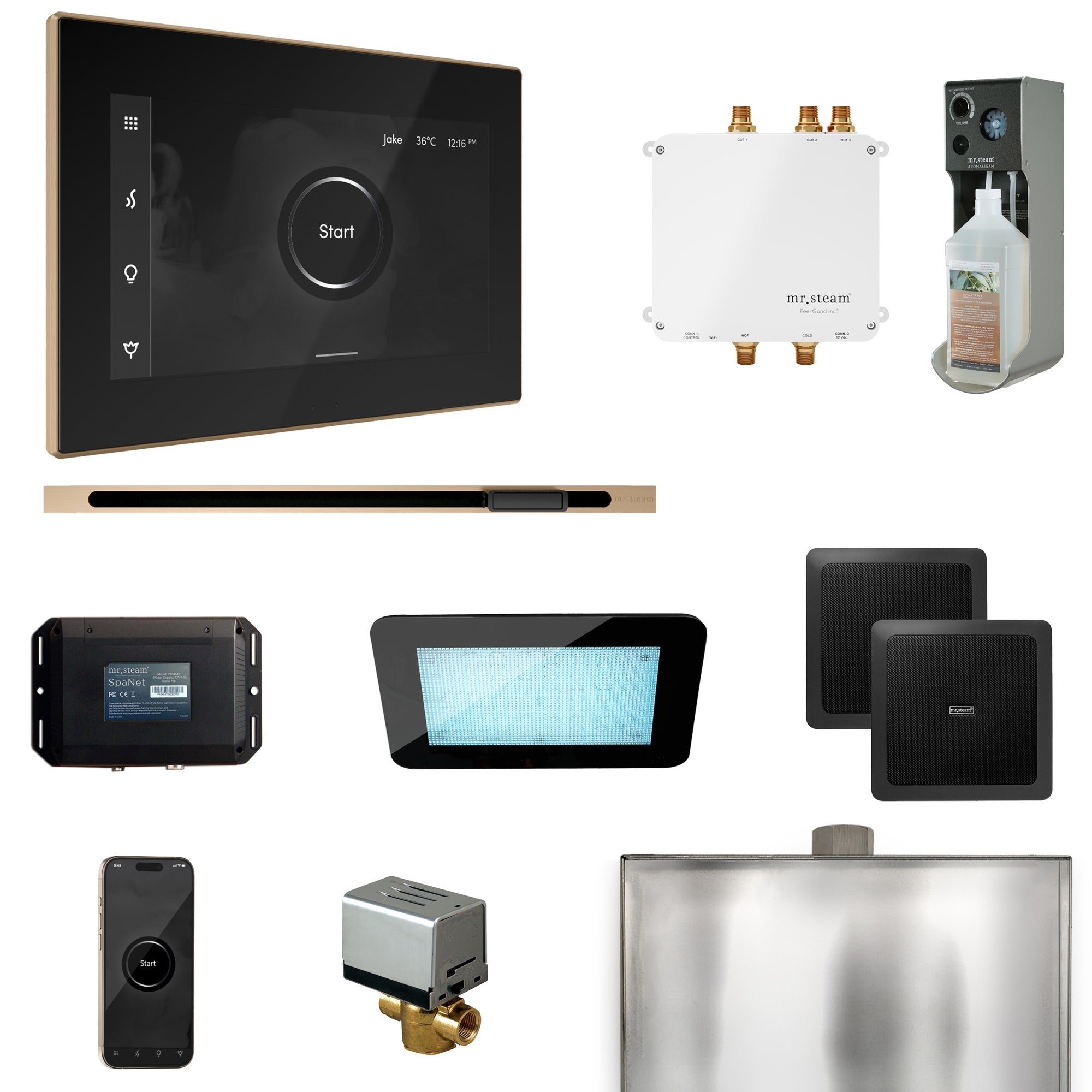 Mr. Steam Bliss Steam Shower Control Package with iSteamX Control and Linear Steamhead Mr. Steam
