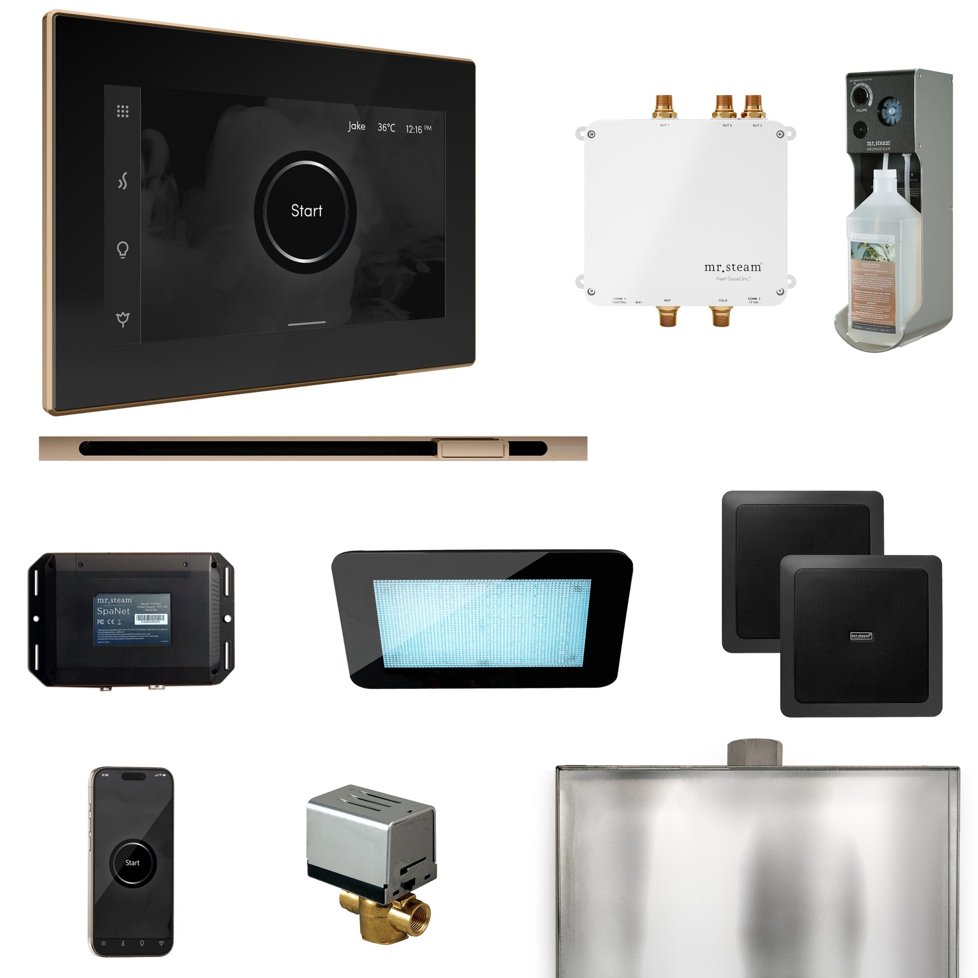 Mr. Steam Bliss Steam Shower Control Package with iSteamX Control and Linear Steamhead Mr. Steam