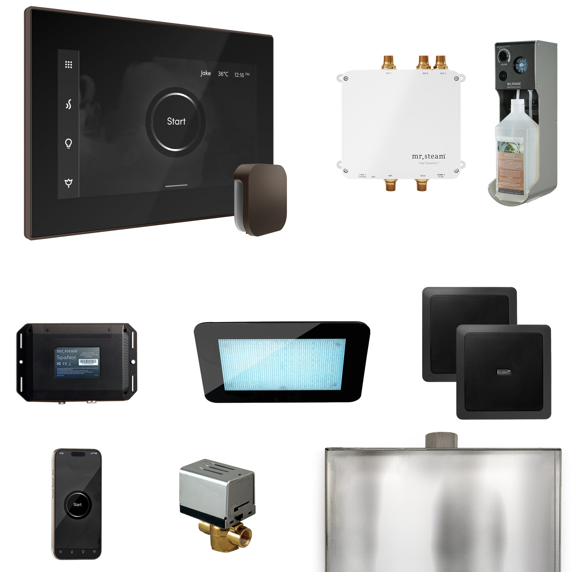 Mr. Steam Bliss Steam Shower Control Package with iSteamX Control and Steamhead Mr. Steam