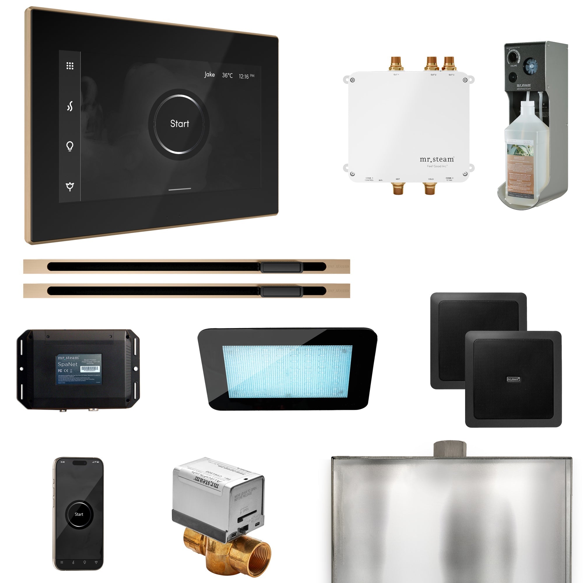 Mr. Steam Bliss Max Steam Shower Control Package with iSteamX Control and Linear Steamhead Mr. Steam