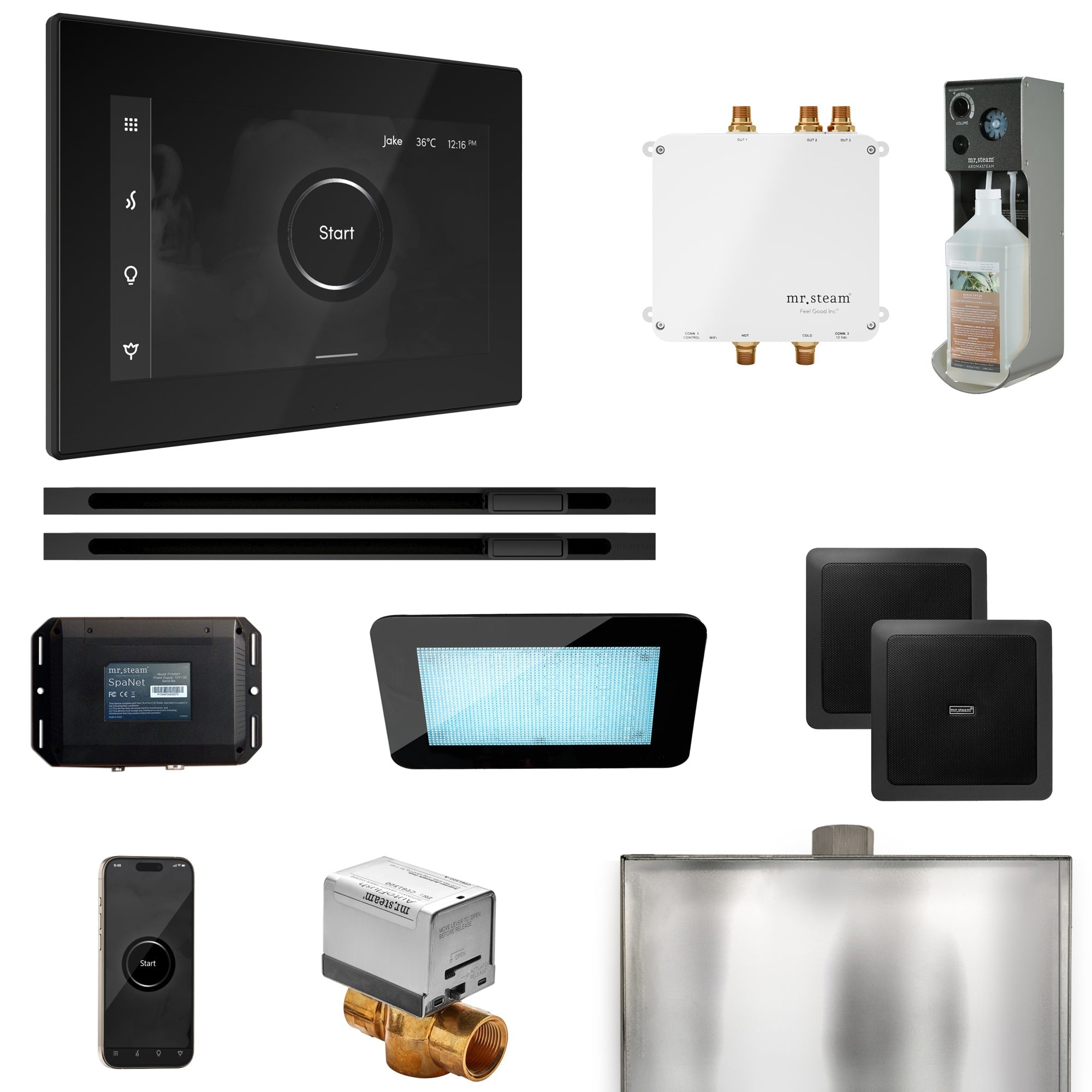 Mr. Steam Bliss Max Steam Shower Control Package with iSteamX Control and Linear Steamhead Mr. Steam