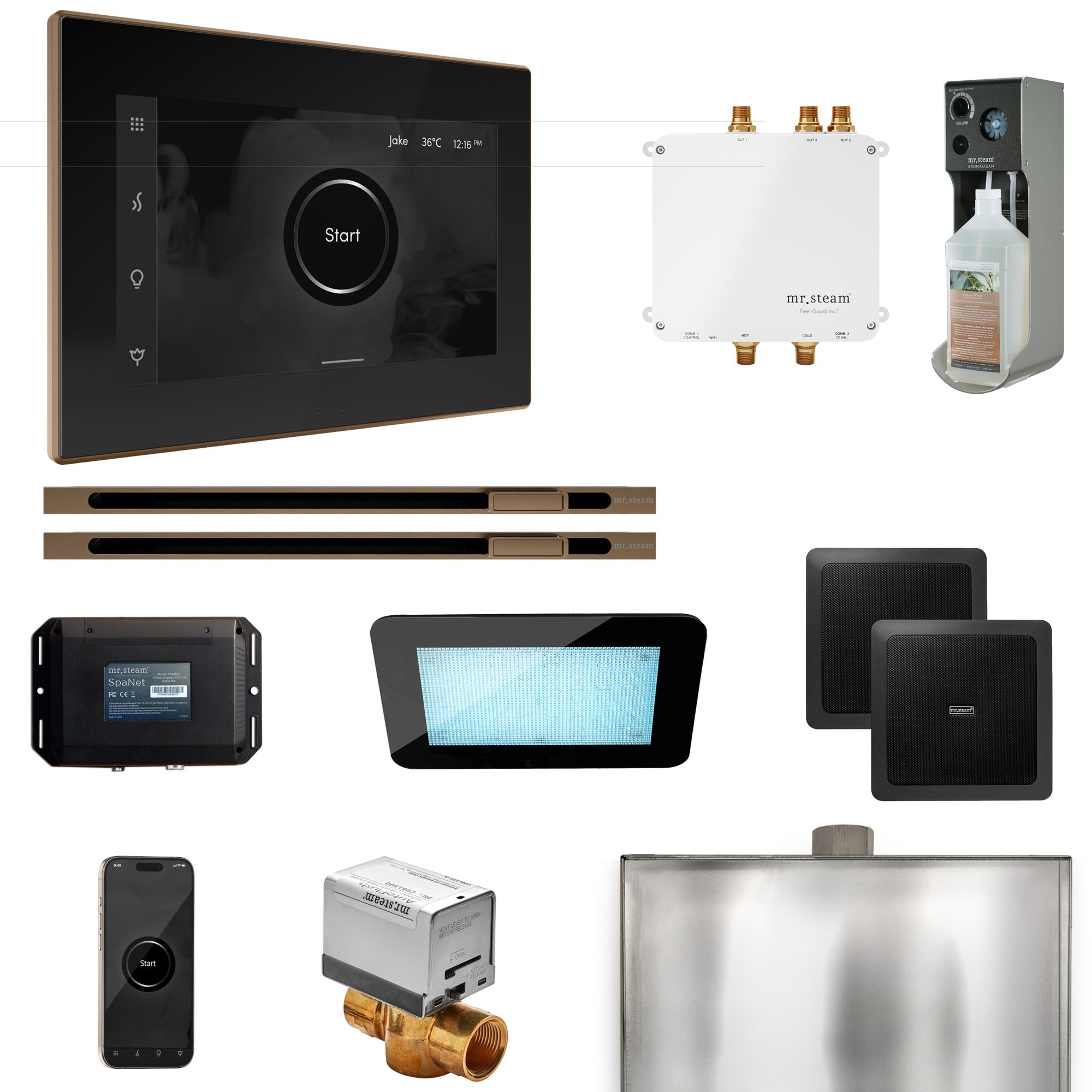 Mr. Steam Bliss Max Steam Shower Control Package with iSteamX Control and Linear Steamhead Mr. Steam