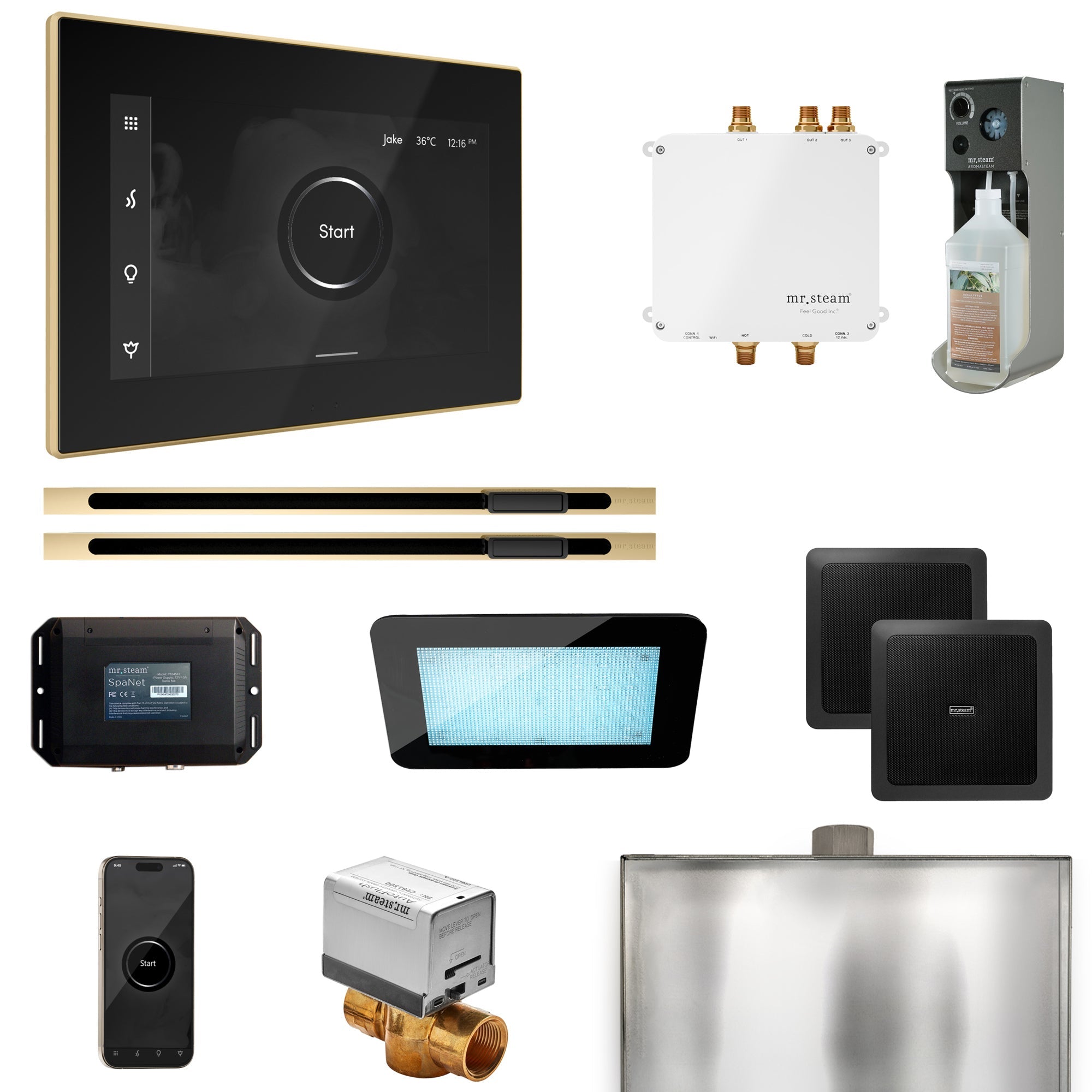 Mr. Steam Bliss Max Steam Shower Control Package with iSteamX Control and Linear Steamhead Mr. Steam