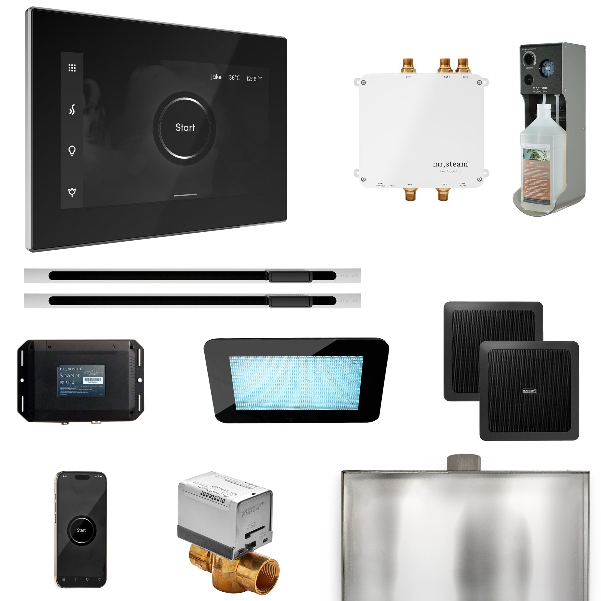 Mr. Steam Bliss Max Steam Shower Control Package with iSteamX Control and Linear Steamhead Mr. Steam