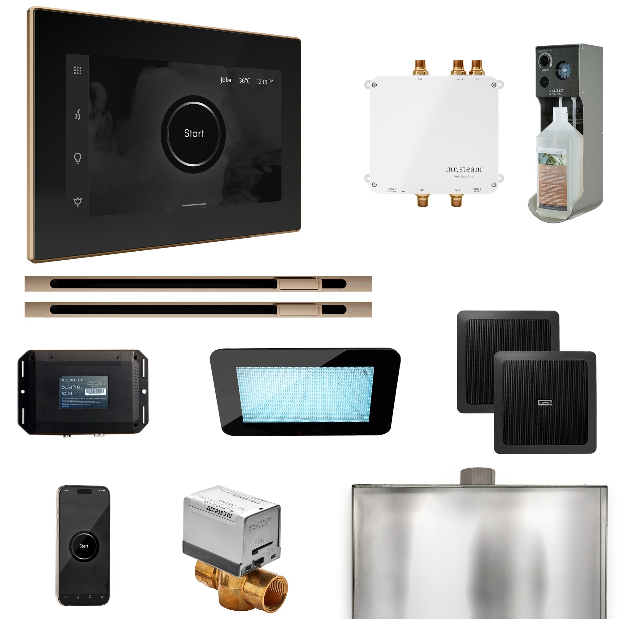 Mr. Steam Bliss Max Steam Shower Control Package with iSteamX Control and Linear Steamhead Mr. Steam