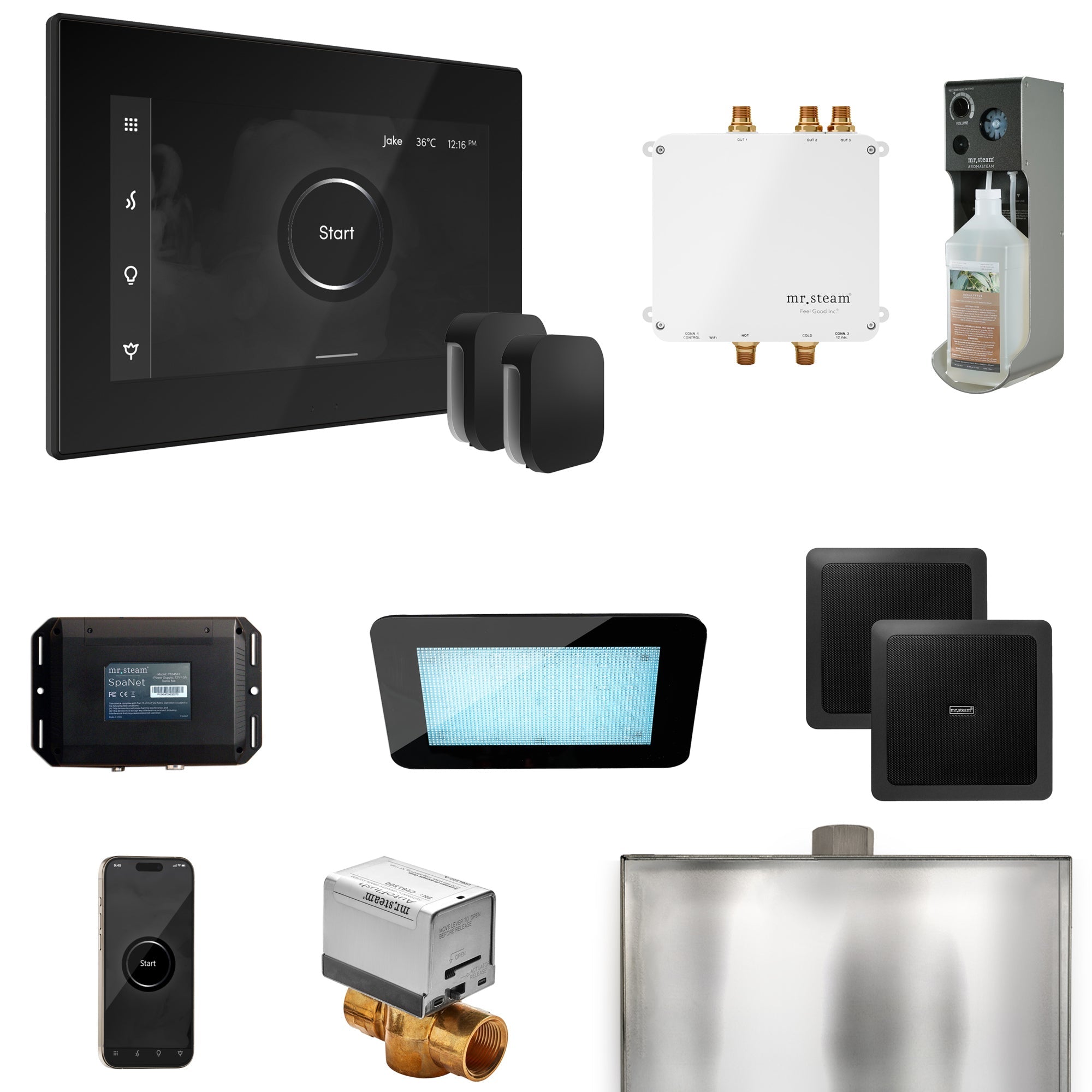 Mr. Steam Bliss Max Steam Shower Control Package with iSteamX Control and Steamhead Mr. Steam