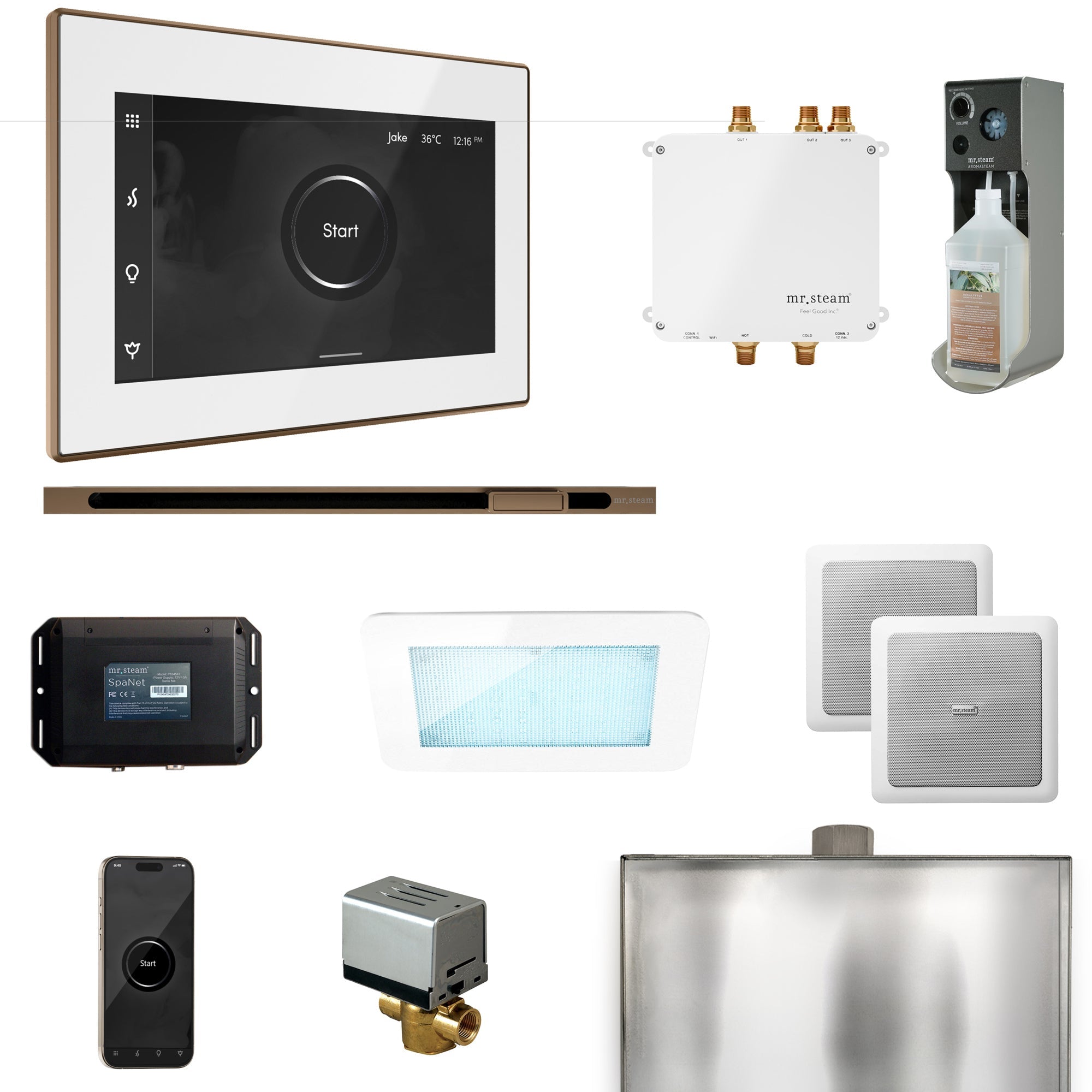 Mr. Steam Bliss Steam Shower Control Package with iSteamX Control and Linear Steamhead Mr. Steam