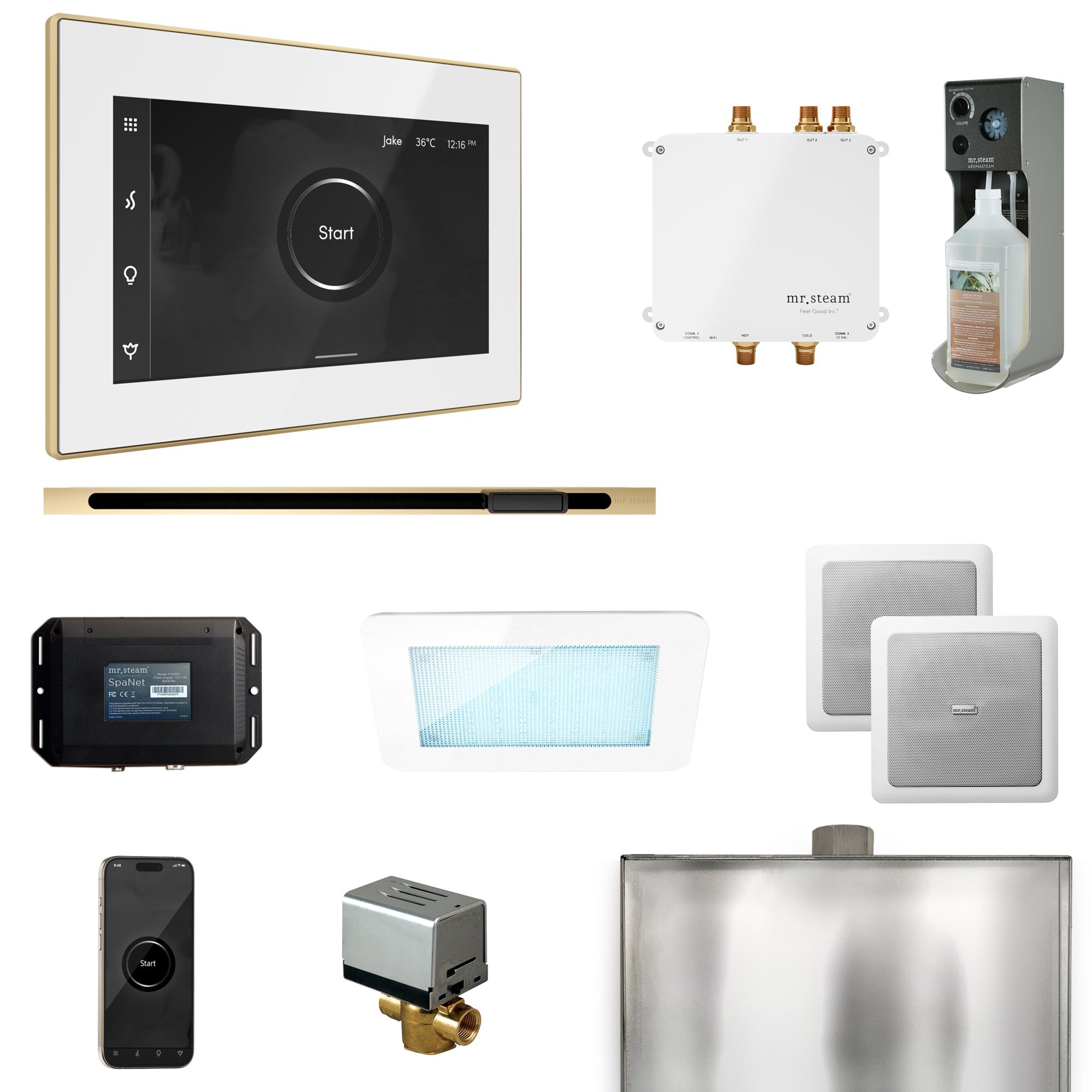 Mr. Steam Bliss Steam Shower Control Package with iSteamX Control and Linear Steamhead Mr. Steam