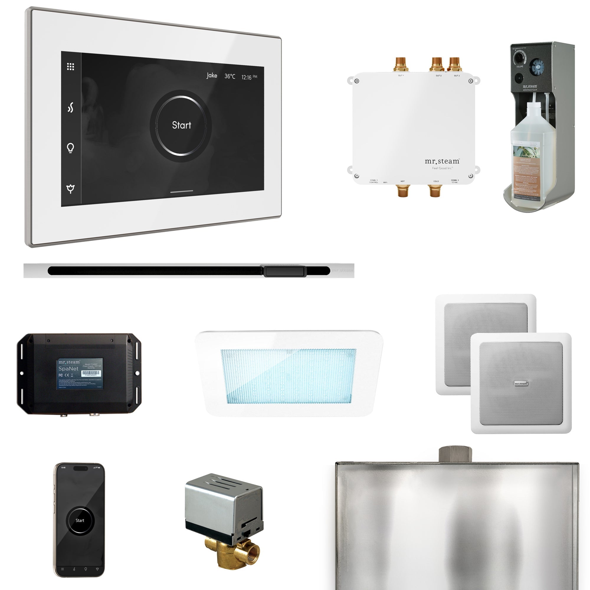 Mr. Steam Bliss Steam Shower Control Package with iSteamX Control and Linear Steamhead Mr. Steam