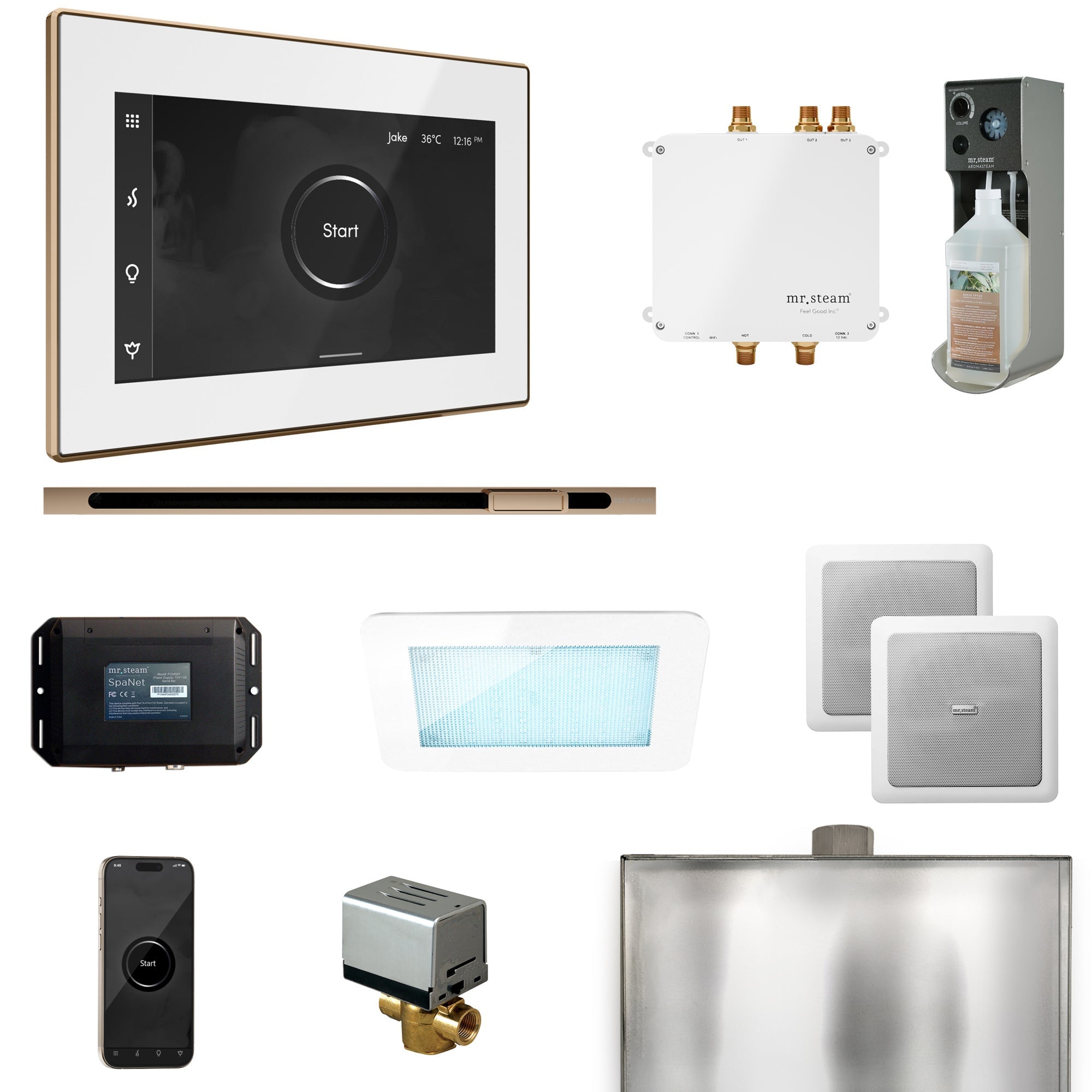 Mr. Steam Bliss Steam Shower Control Package with iSteamX Control and Linear Steamhead Mr. Steam