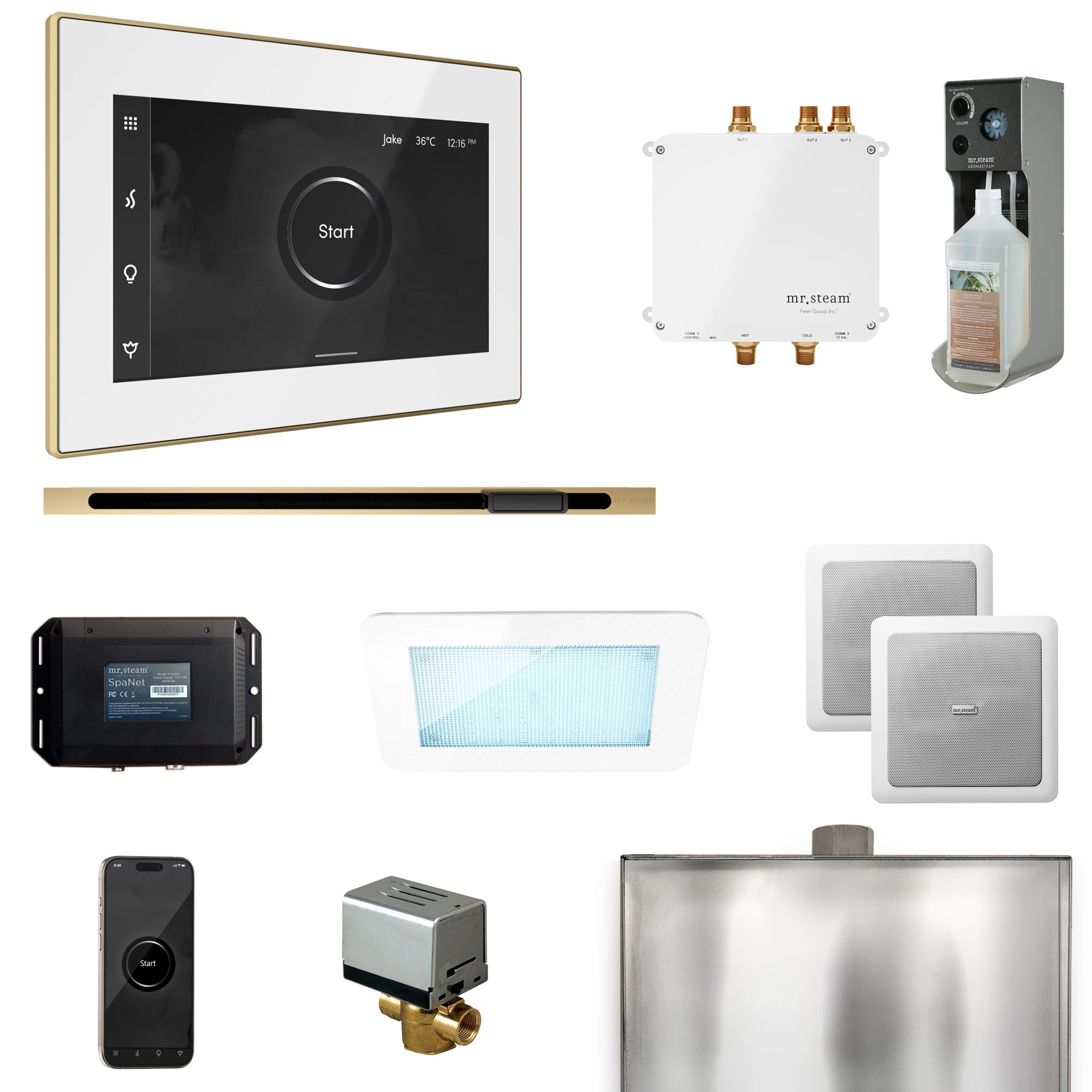 Mr. Steam Bliss Steam Shower Control Package with iSteamX Control and Linear Steamhead Mr. Steam