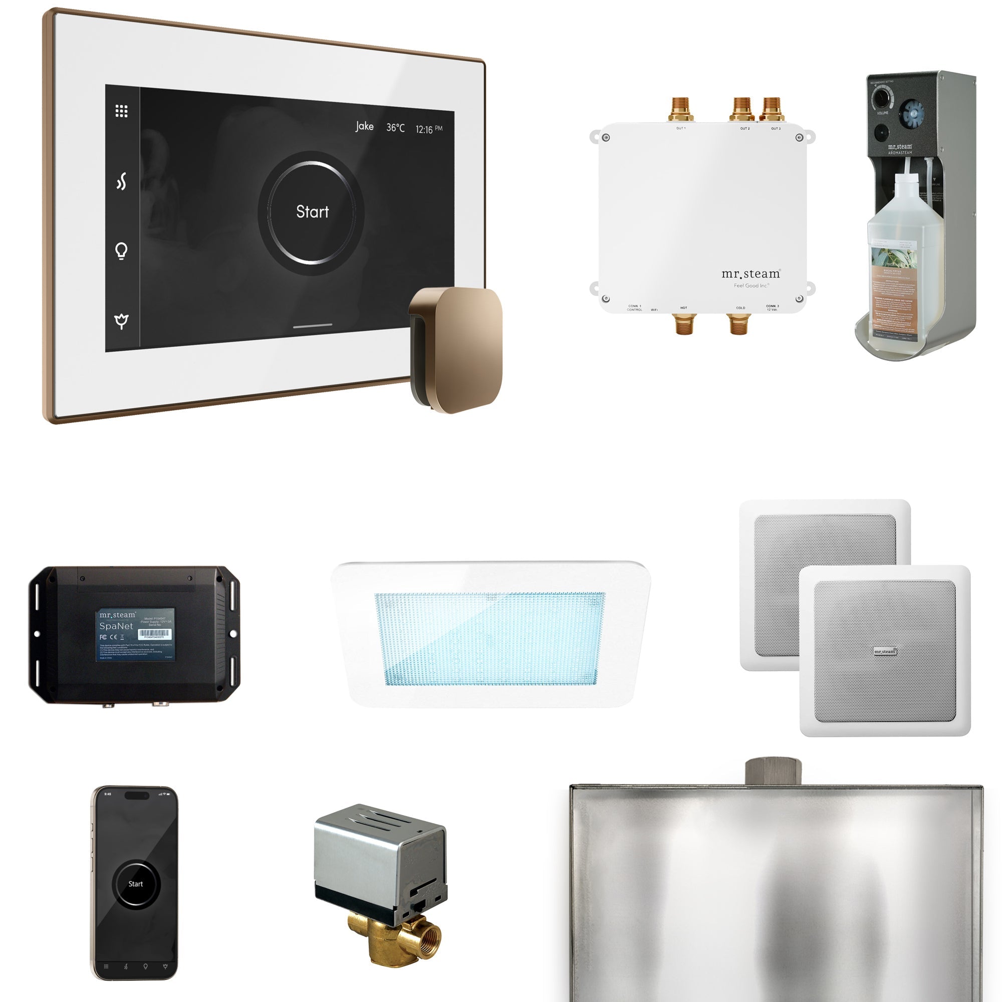 Mr. Steam Bliss Steam Shower Control Package with iSteamX Control and Steamhead Mr. Steam