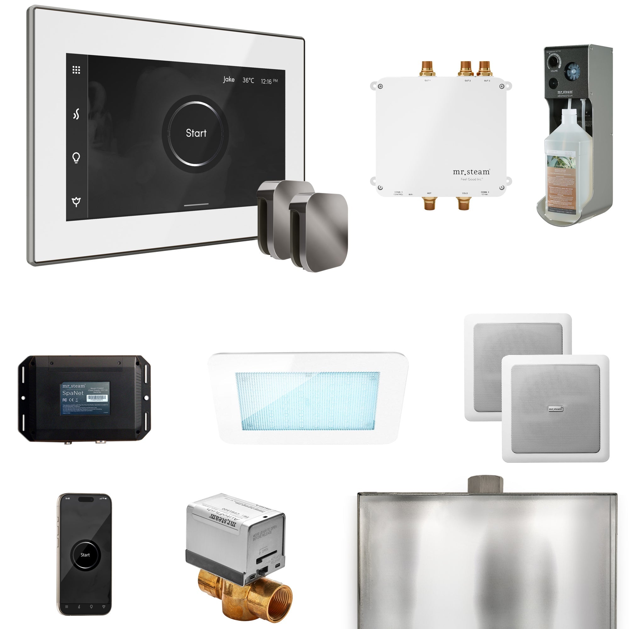 Mr. Steam Bliss Max Steam Shower Control Package with iSteamX Control and Steamhead Mr. Steam