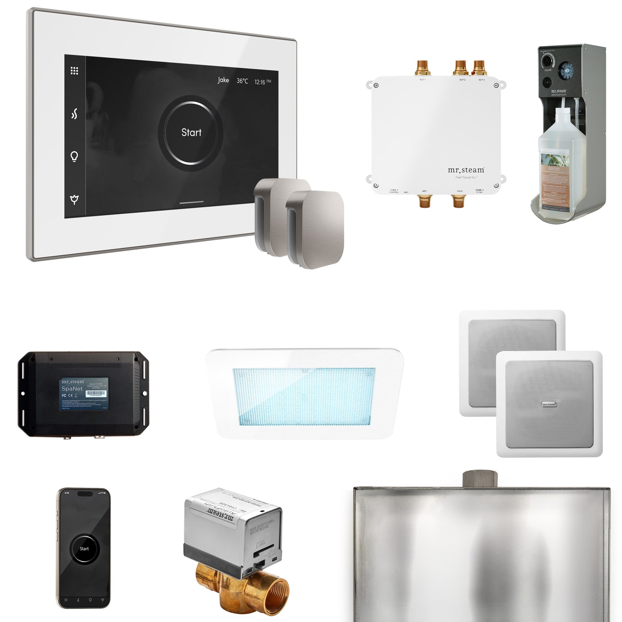 Mr. Steam Bliss Max Steam Shower Control Package with iSteamX Control and Steamhead Mr. Steam