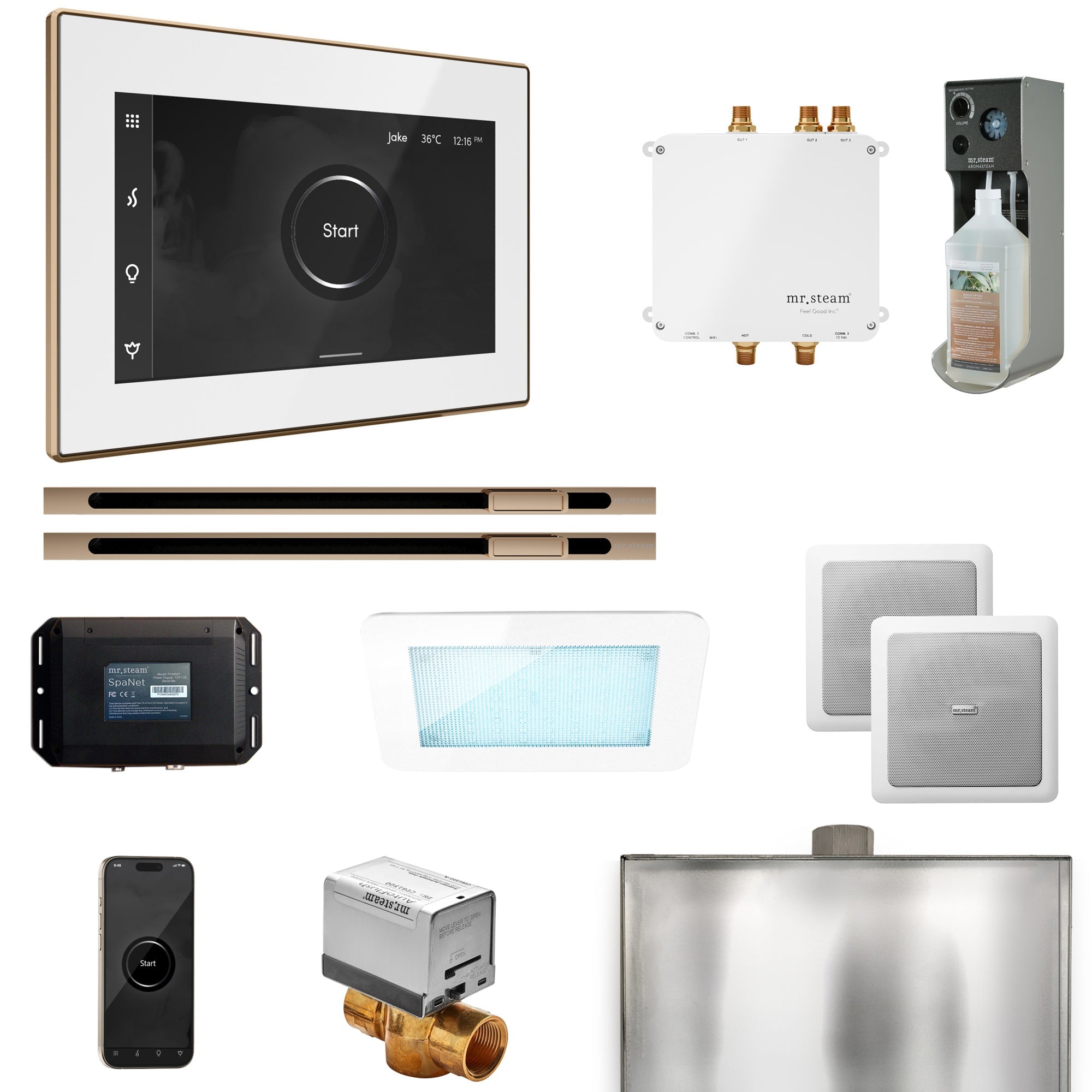 Mr. Steam Bliss Max Steam Shower Control Package with iSteamX Control and Linear Steamhead Mr. Steam