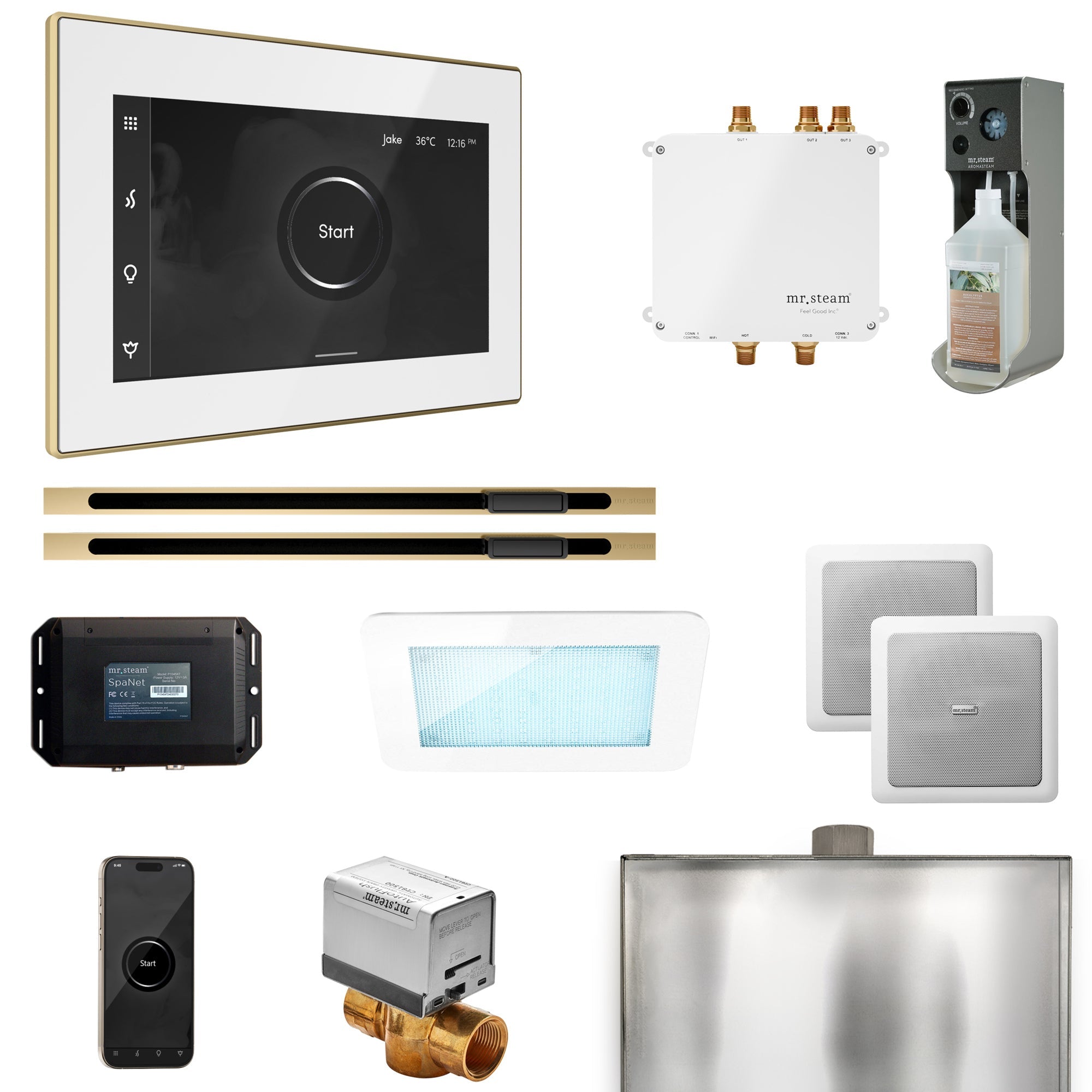 Mr. Steam Bliss Max Steam Shower Control Package with iSteamX Control and Linear Steamhead Mr. Steam