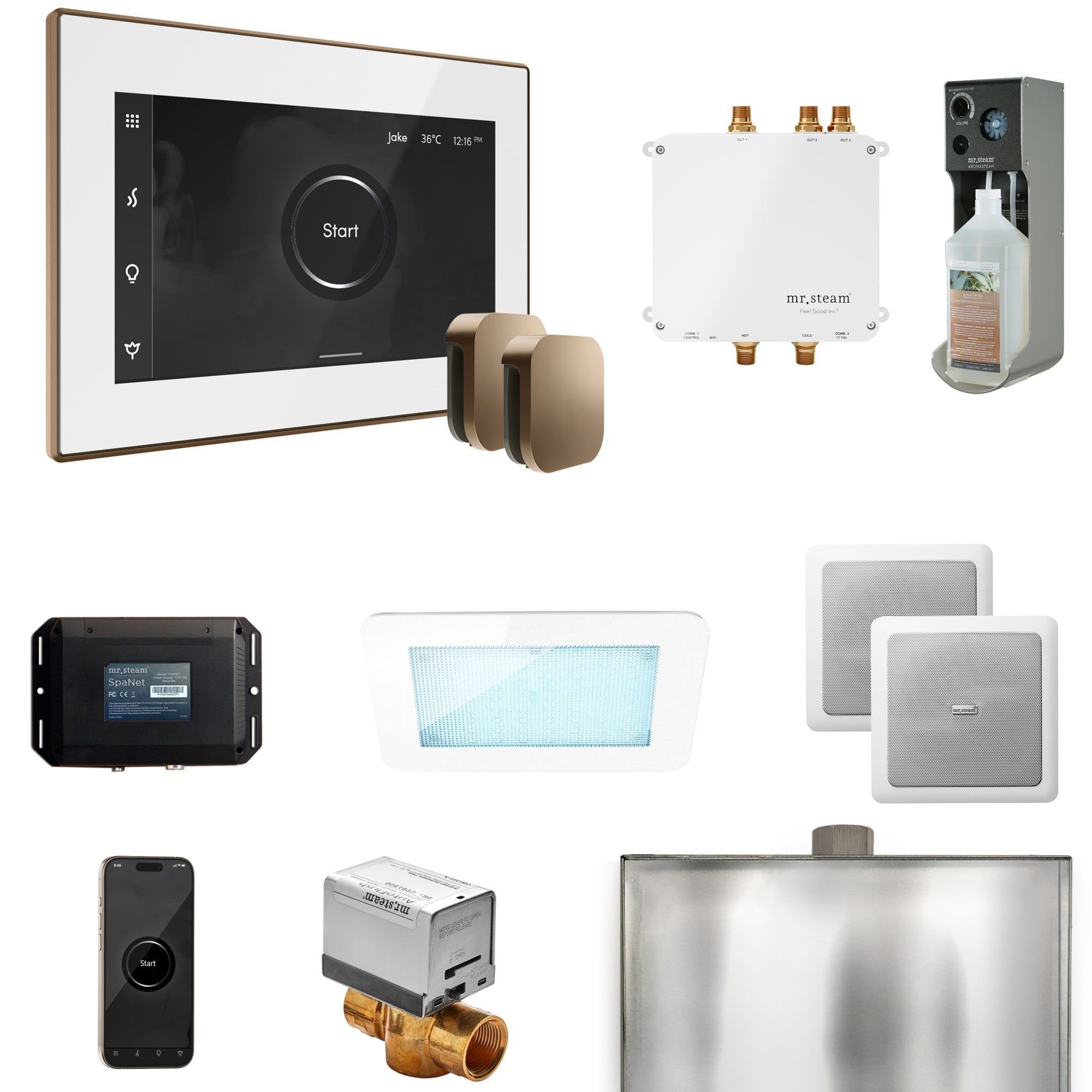 Mr. Steam Bliss Max Steam Shower Control Package with iSteamX Control and Steamhead Mr. Steam