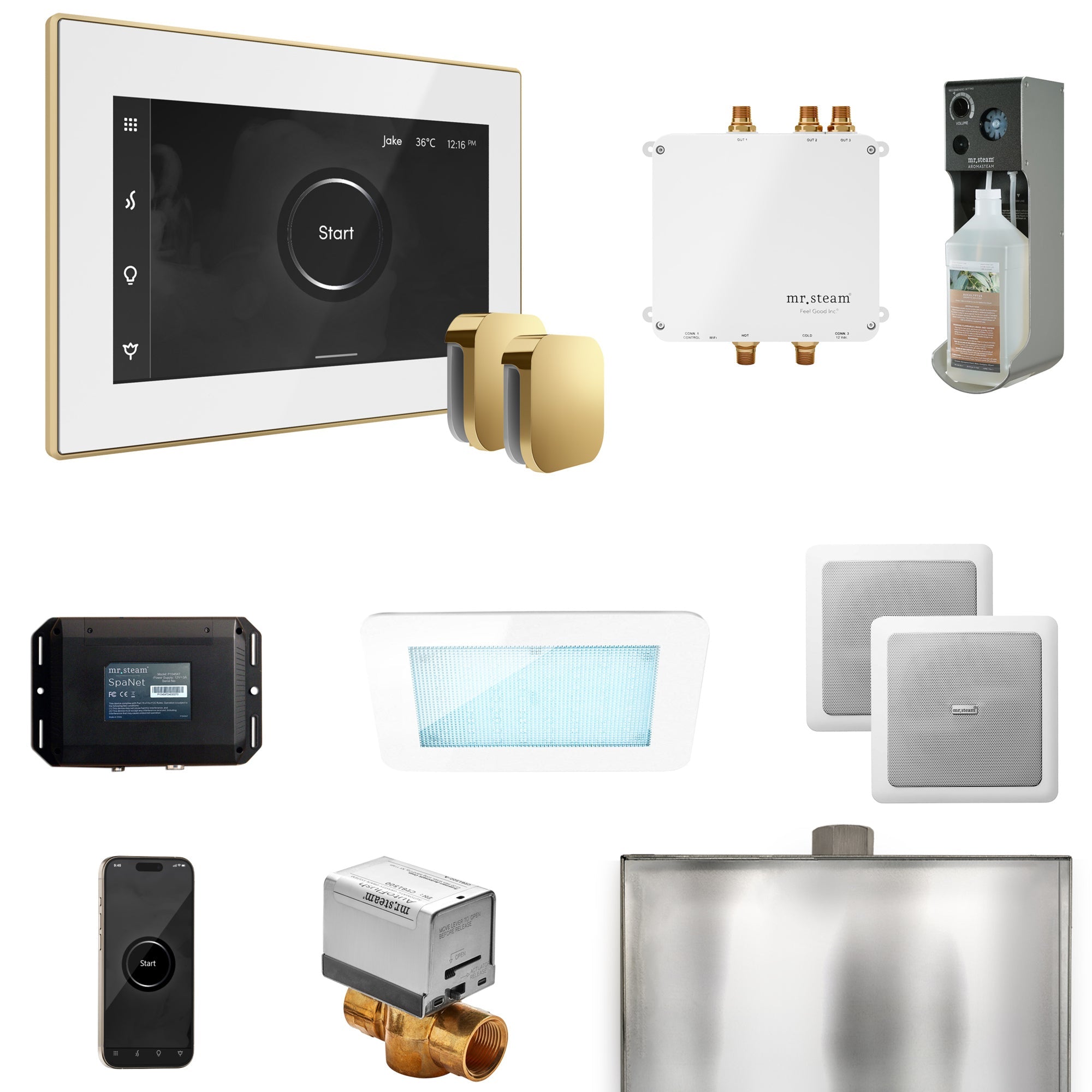Mr. Steam Bliss Max Steam Shower Control Package with iSteamX Control and Steamhead Mr. Steam