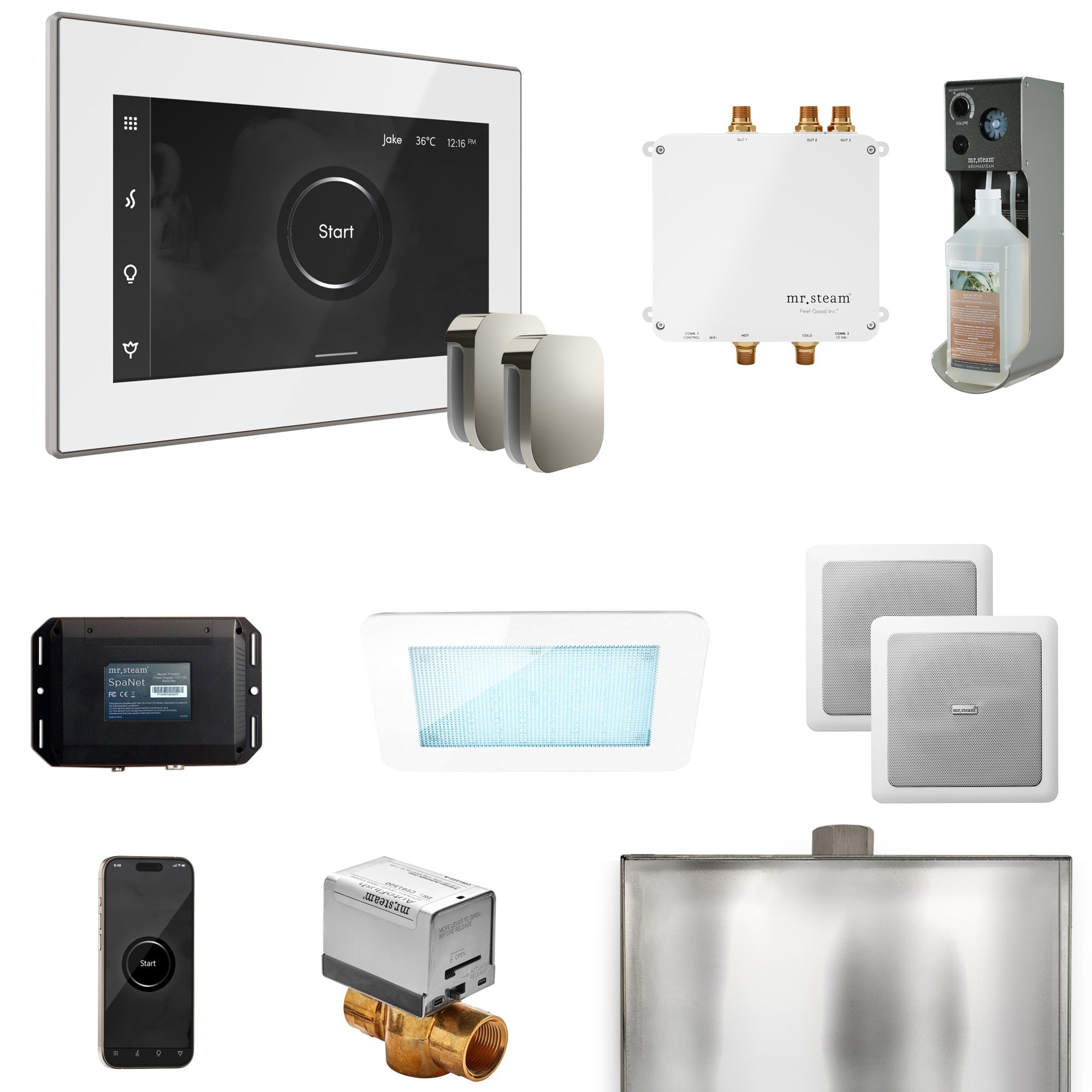 Mr. Steam Bliss Max Steam Shower Control Package with iSteamX Control and Steamhead Mr. Steam