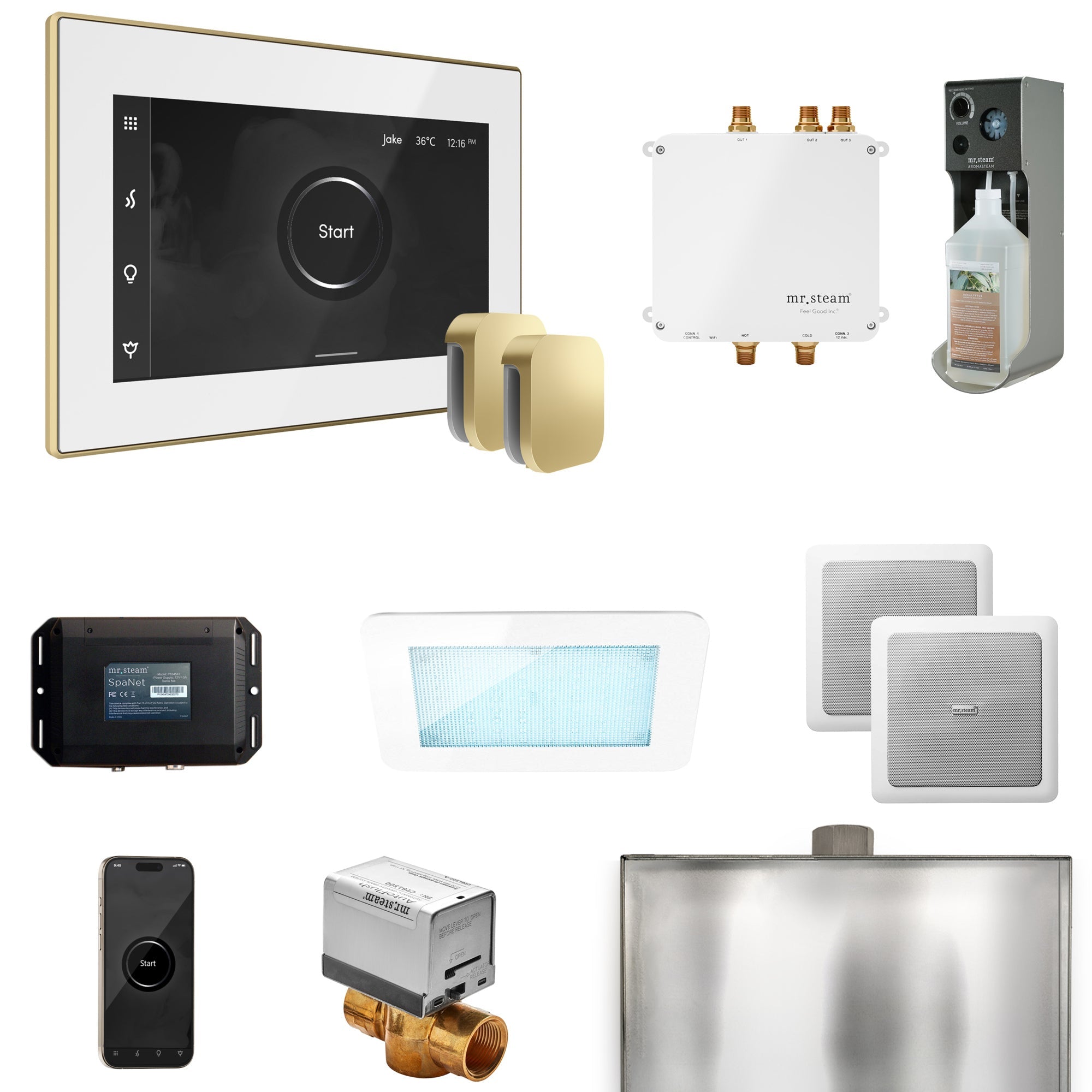 Mr. Steam Bliss Max Steam Shower Control Package with iSteamX Control and Steamhead Mr. Steam