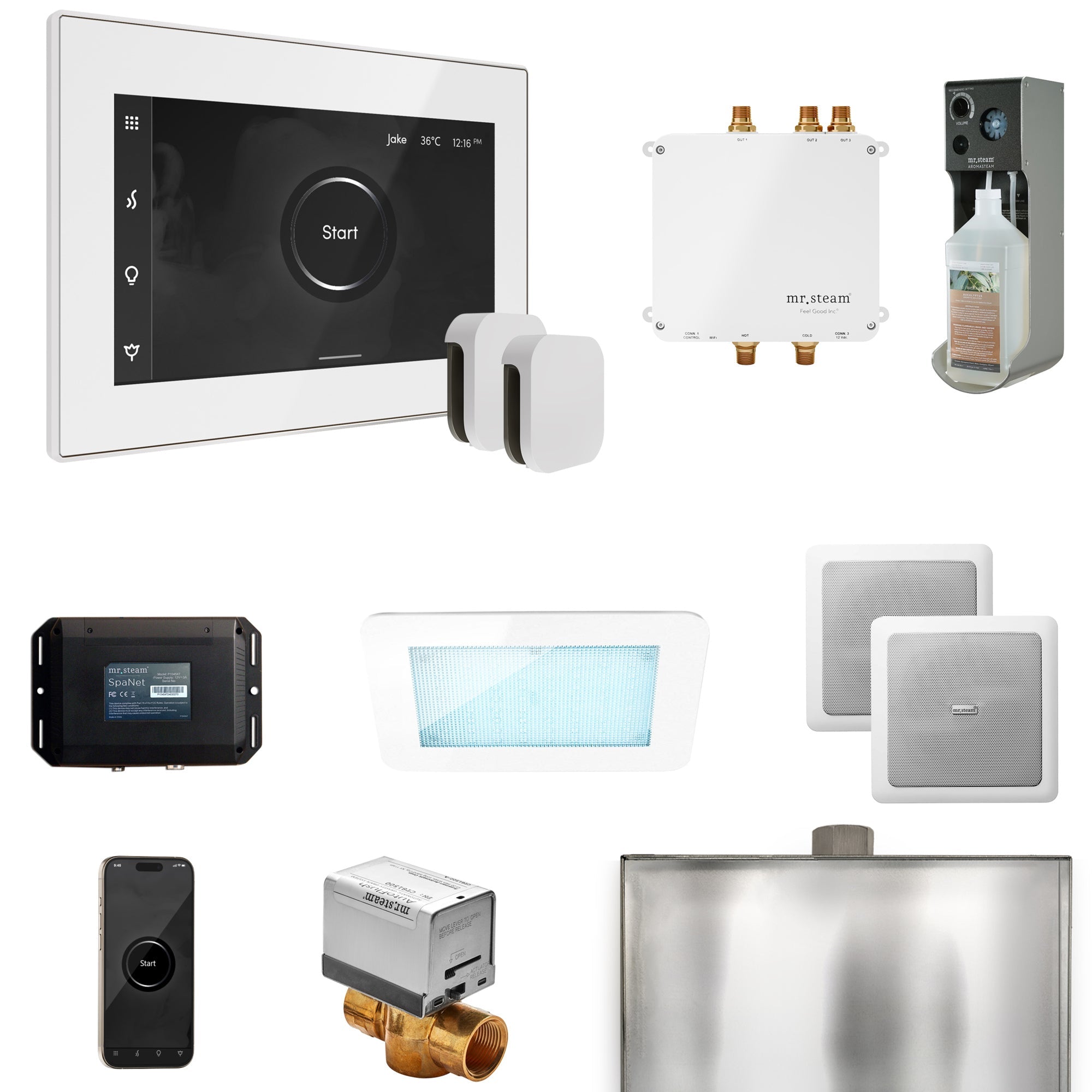 Mr. Steam Bliss Max Steam Shower Control Package with iSteamX Control and Steamhead Mr. Steam