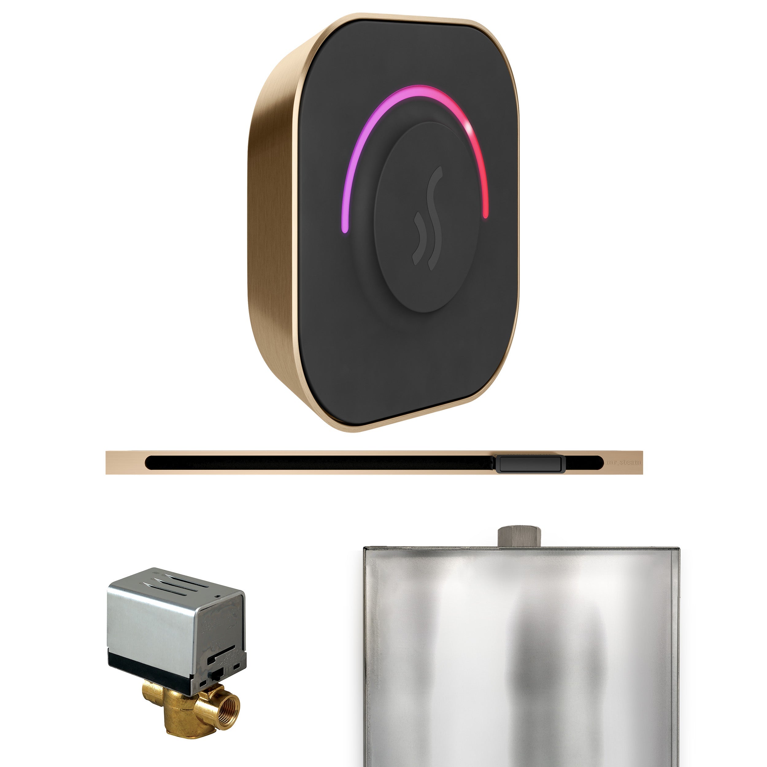 Mr. Steam ButlerTouch Steam Shower Control Package with TempoTouch Control and Linear Steamhead Mr. Steam