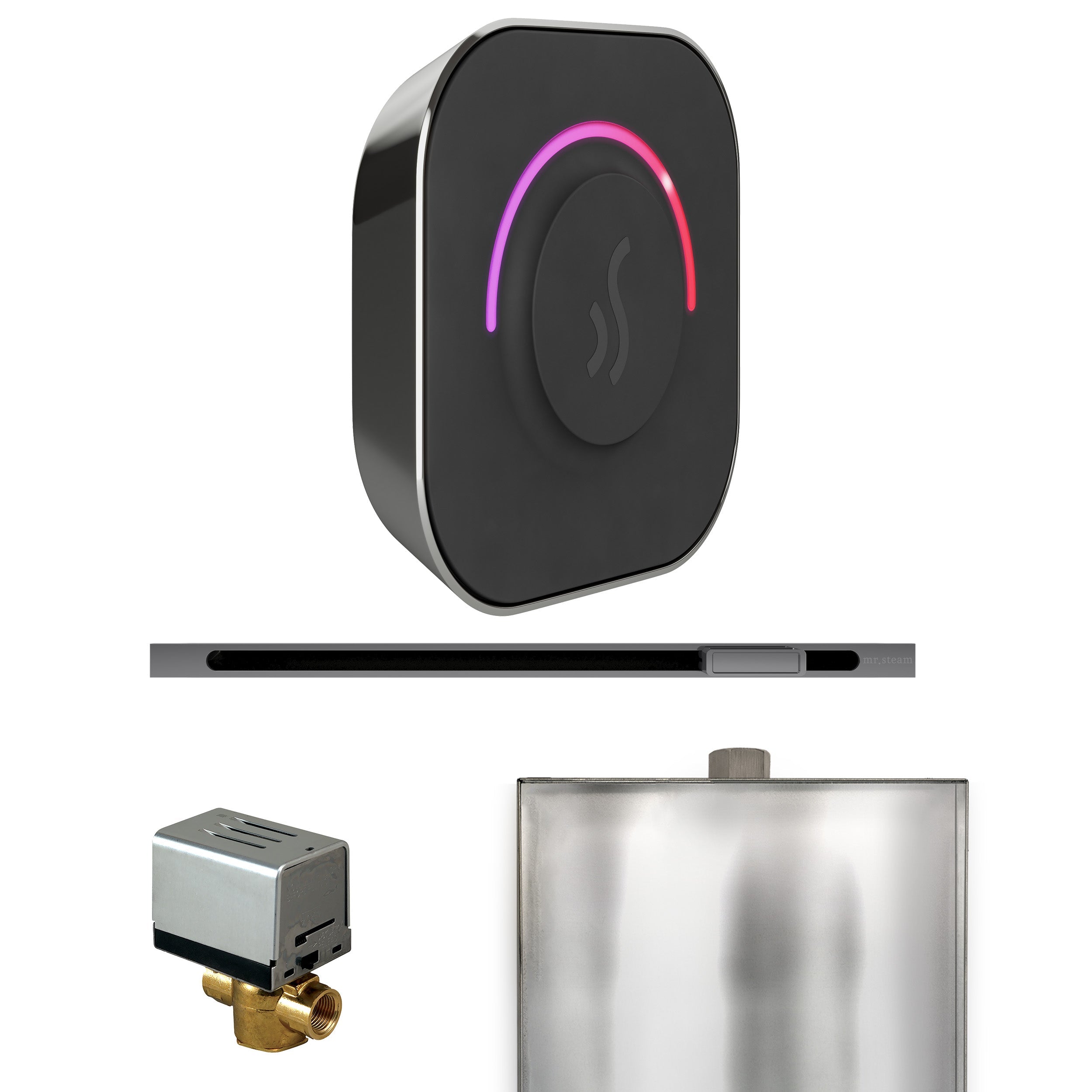 Mr. Steam ButlerTouch Steam Shower Control Package with TempoTouch Control and Linear Steamhead Mr. Steam